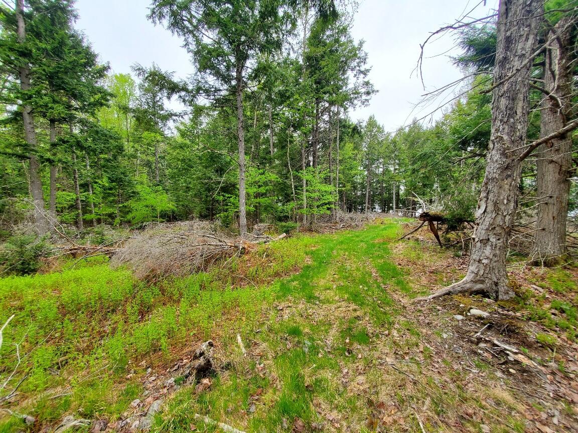 0 Blackcat Pt Drive Property Photo 8