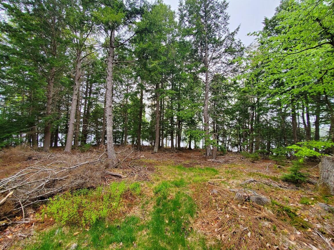 0 Blackcat Pt Drive Property Photo 9