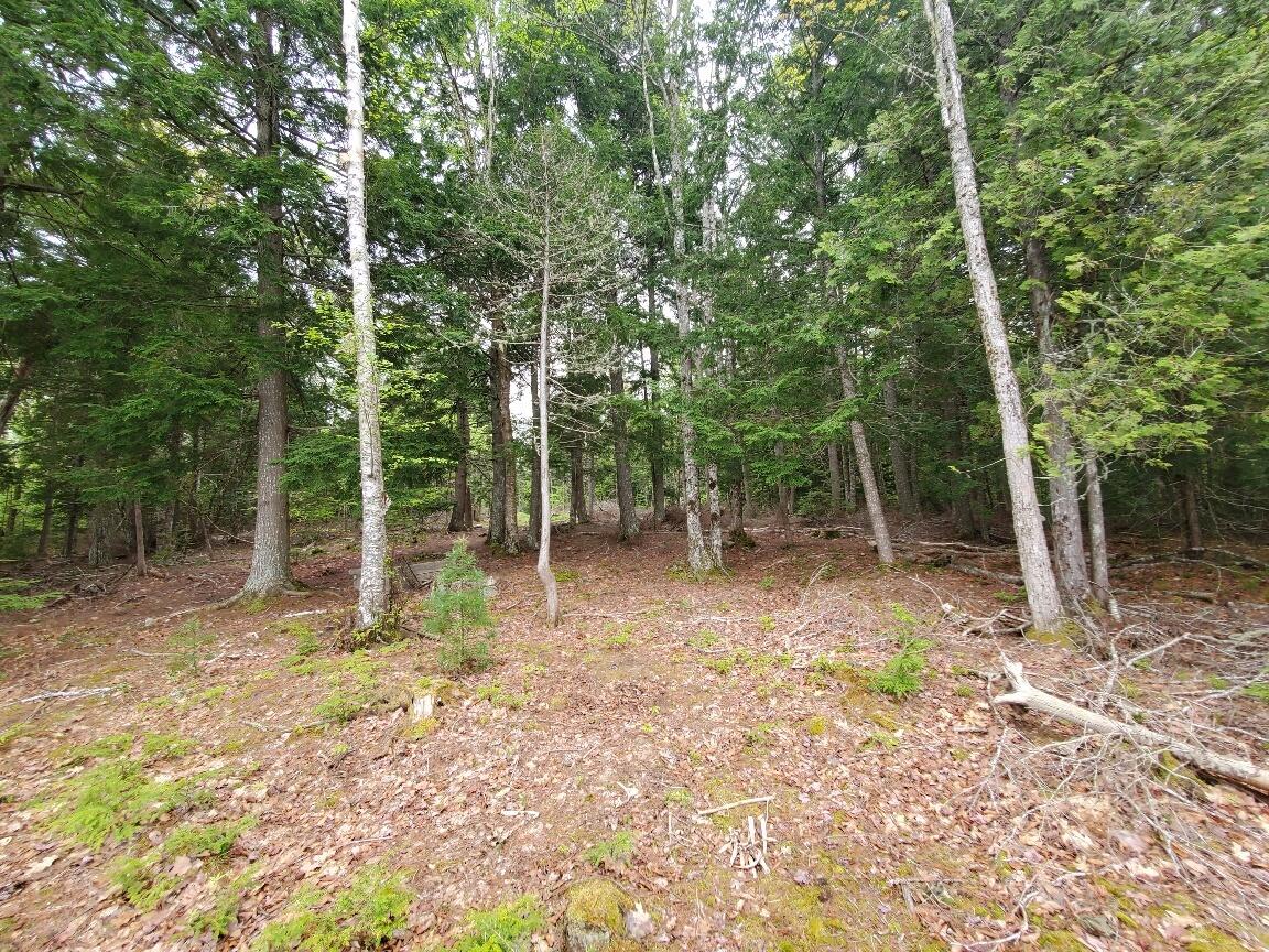 0 Blackcat Pt Drive Property Photo 13