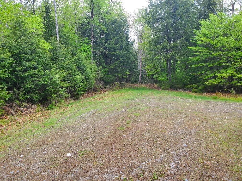 0 Blackcat Pt Drive Property Photo 14