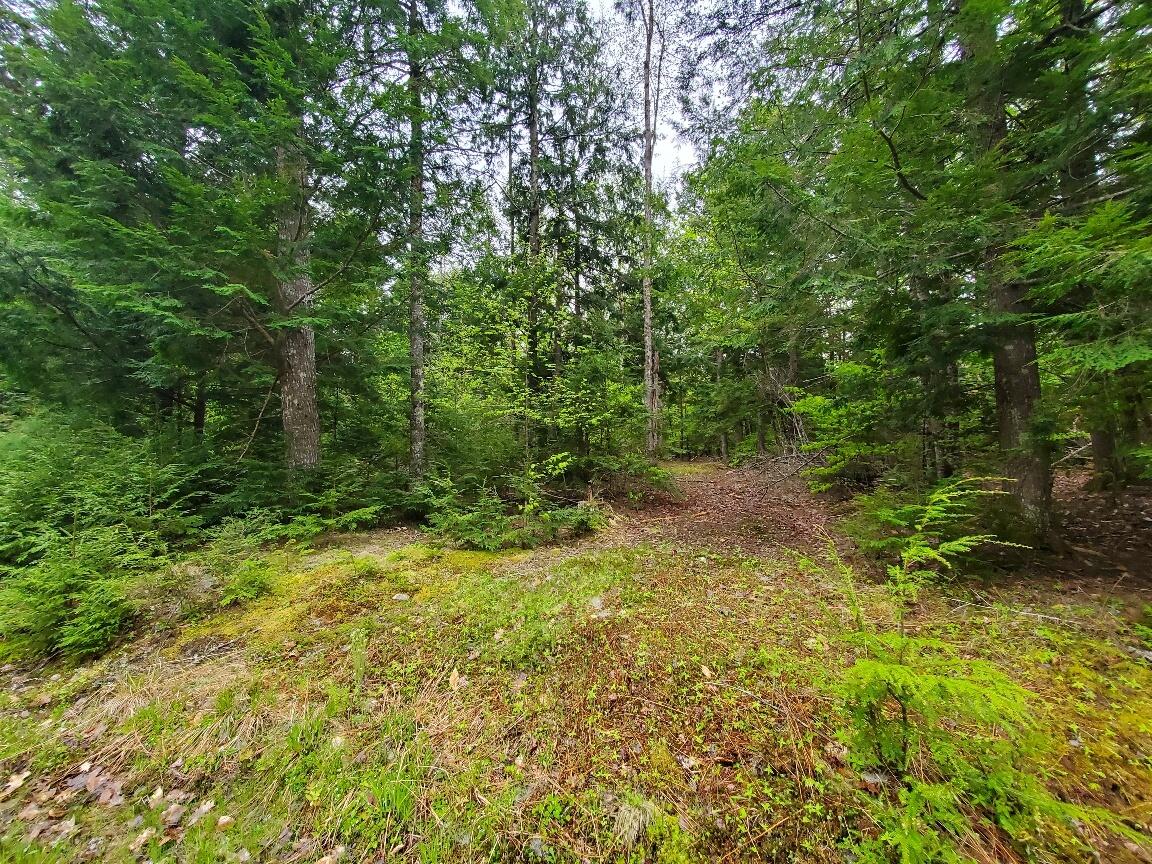 0 Blackcat Pt Drive Property Photo 15
