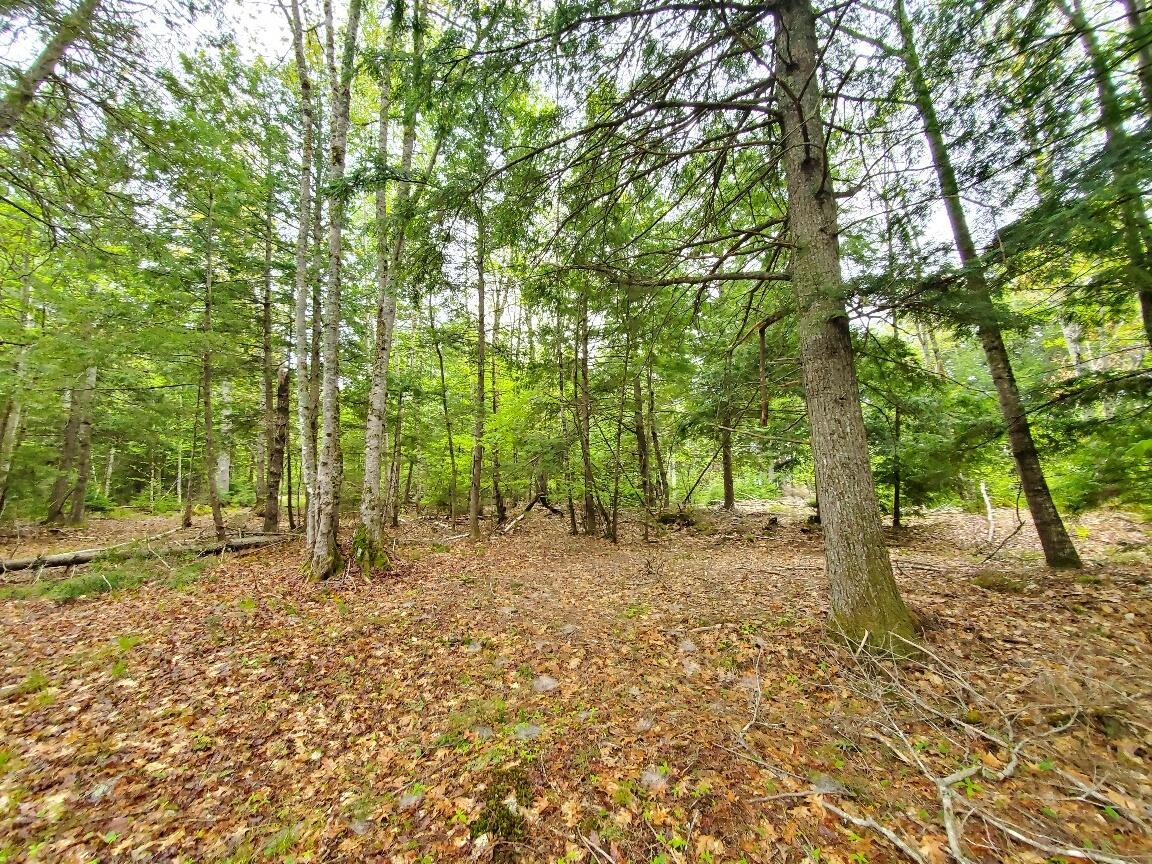 0 Blackcat Pt Drive Property Photo 16