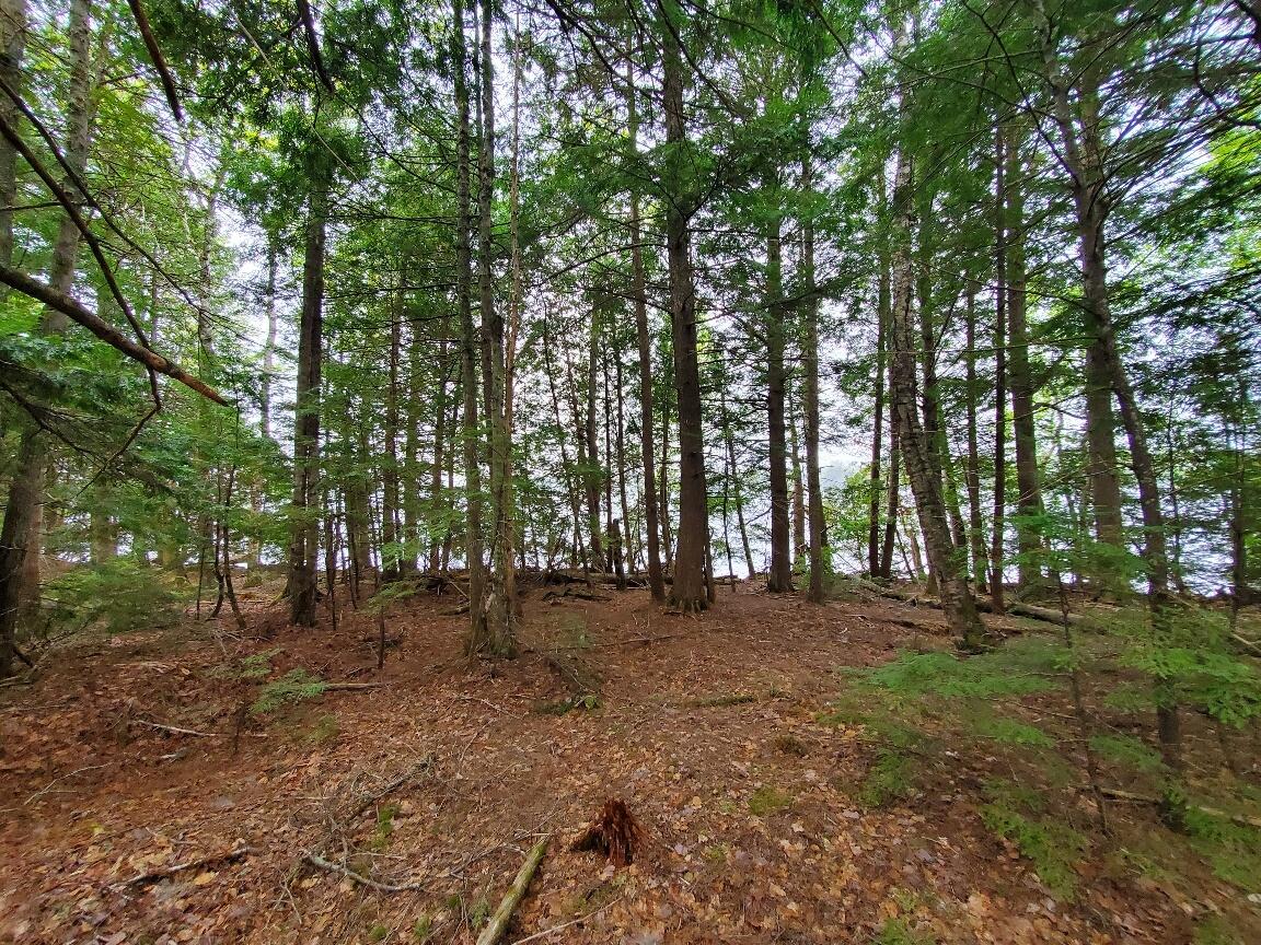 0 Blackcat Pt Drive Property Photo 17