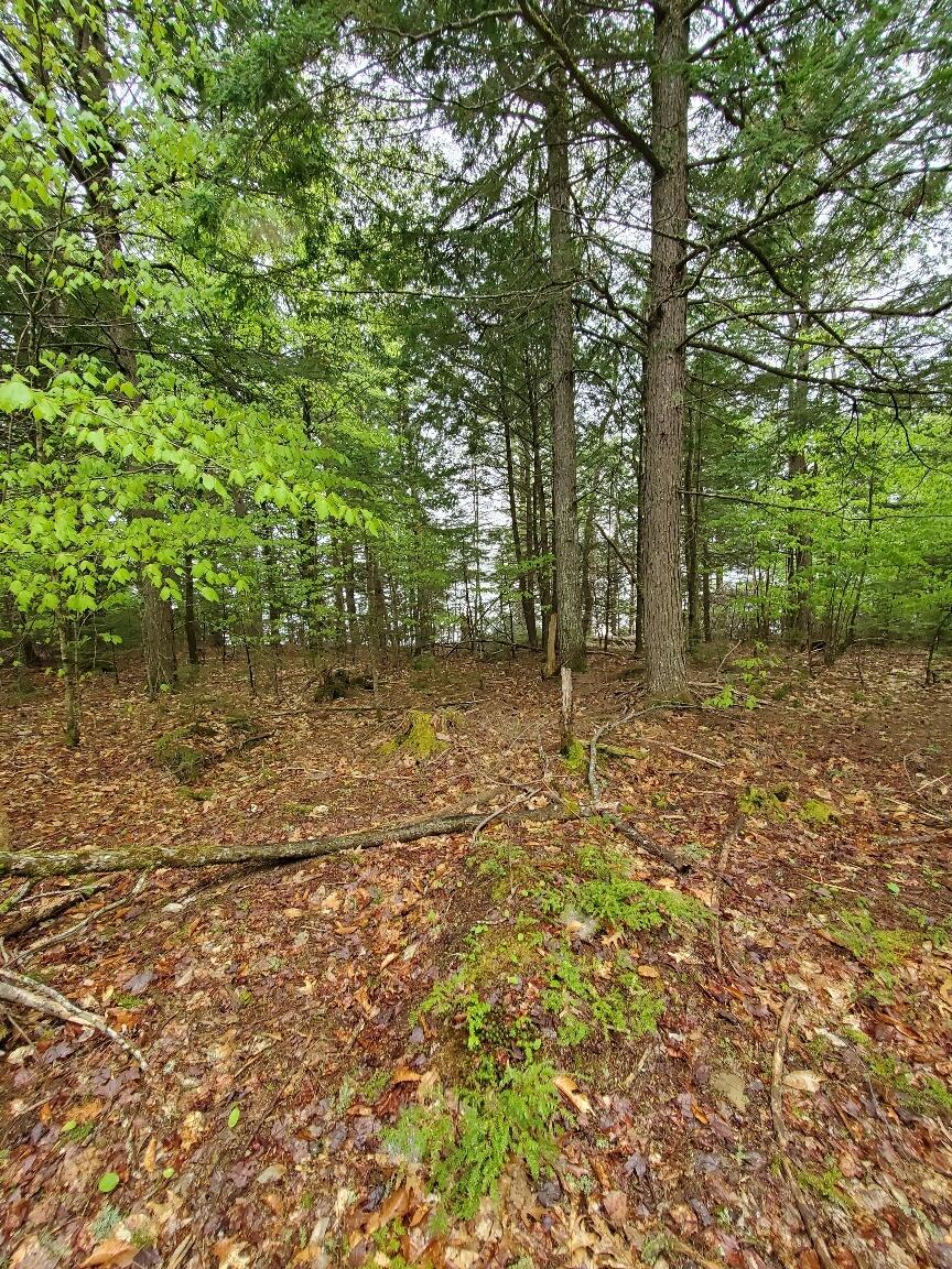 0 Blackcat Pt Drive Property Photo 23
