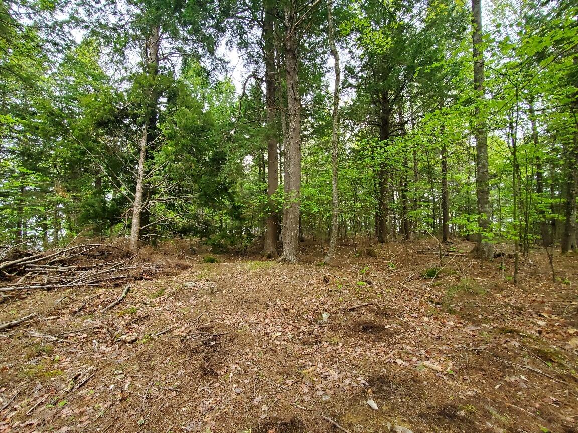 0 Blackcat Pt Drive Property Photo 25