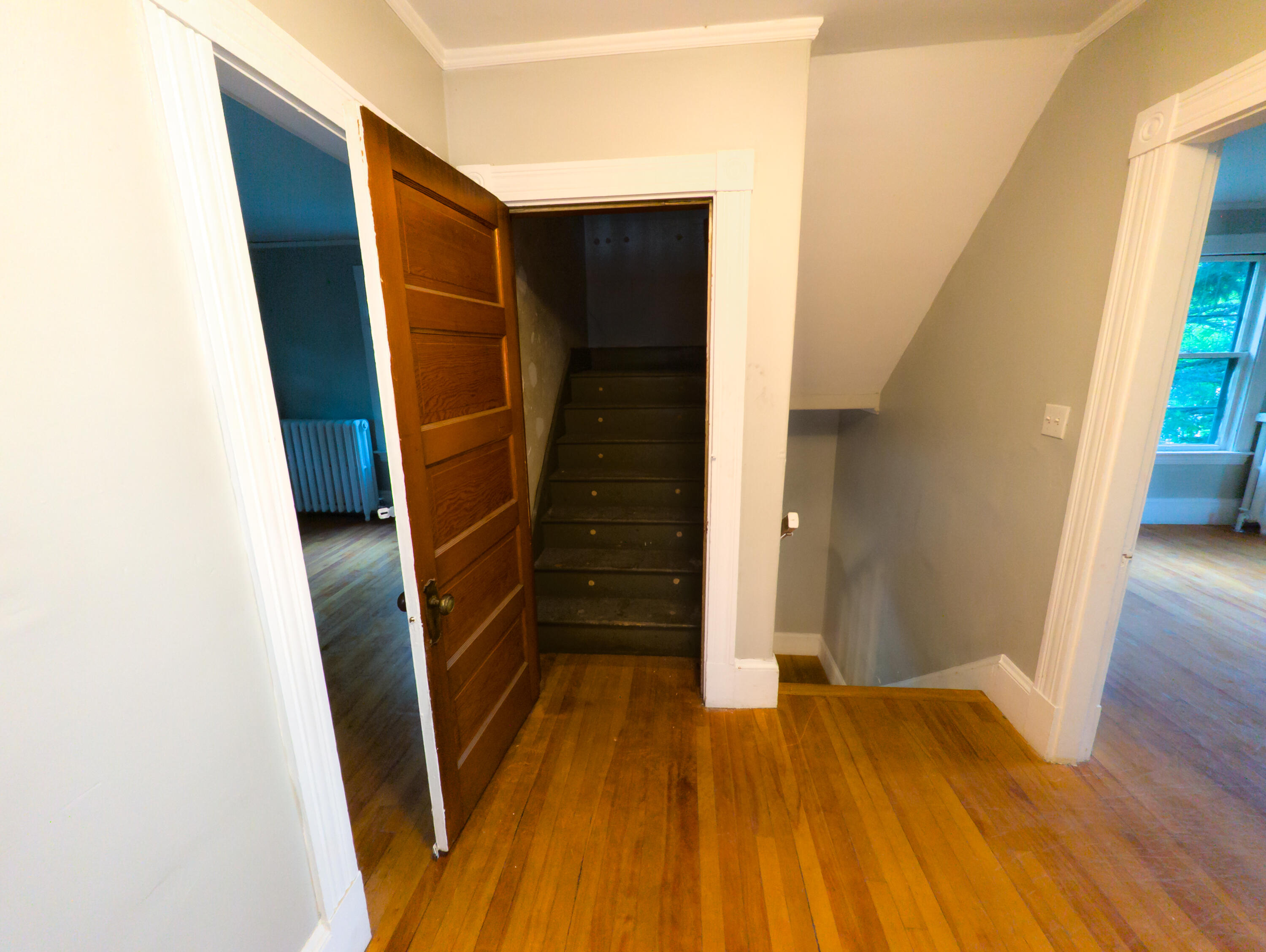 325 Court Street Property Photo 54