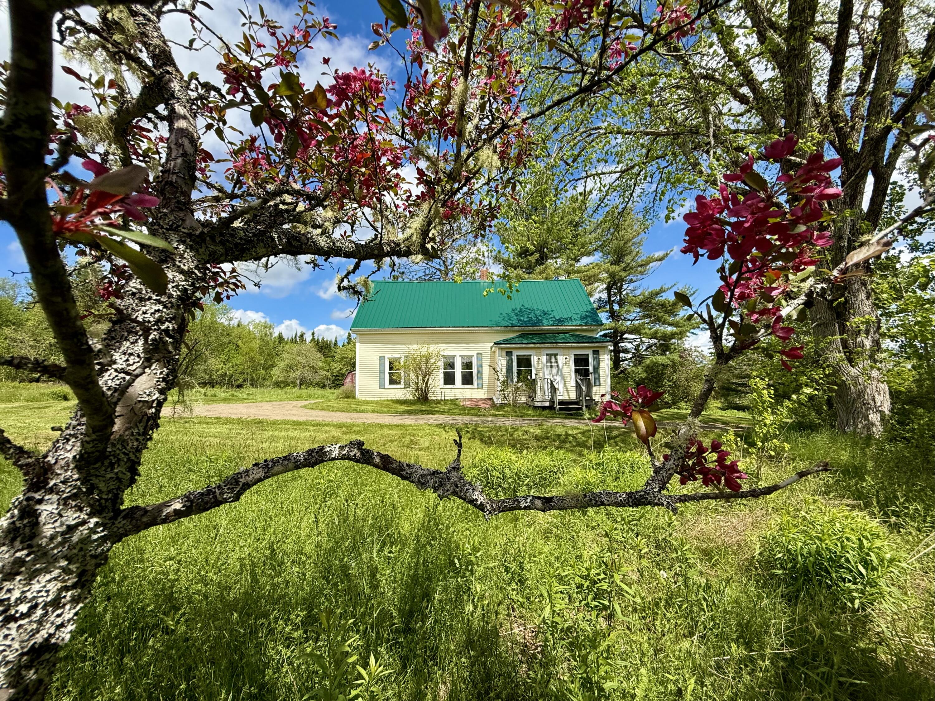 149 Old Eastport Road
