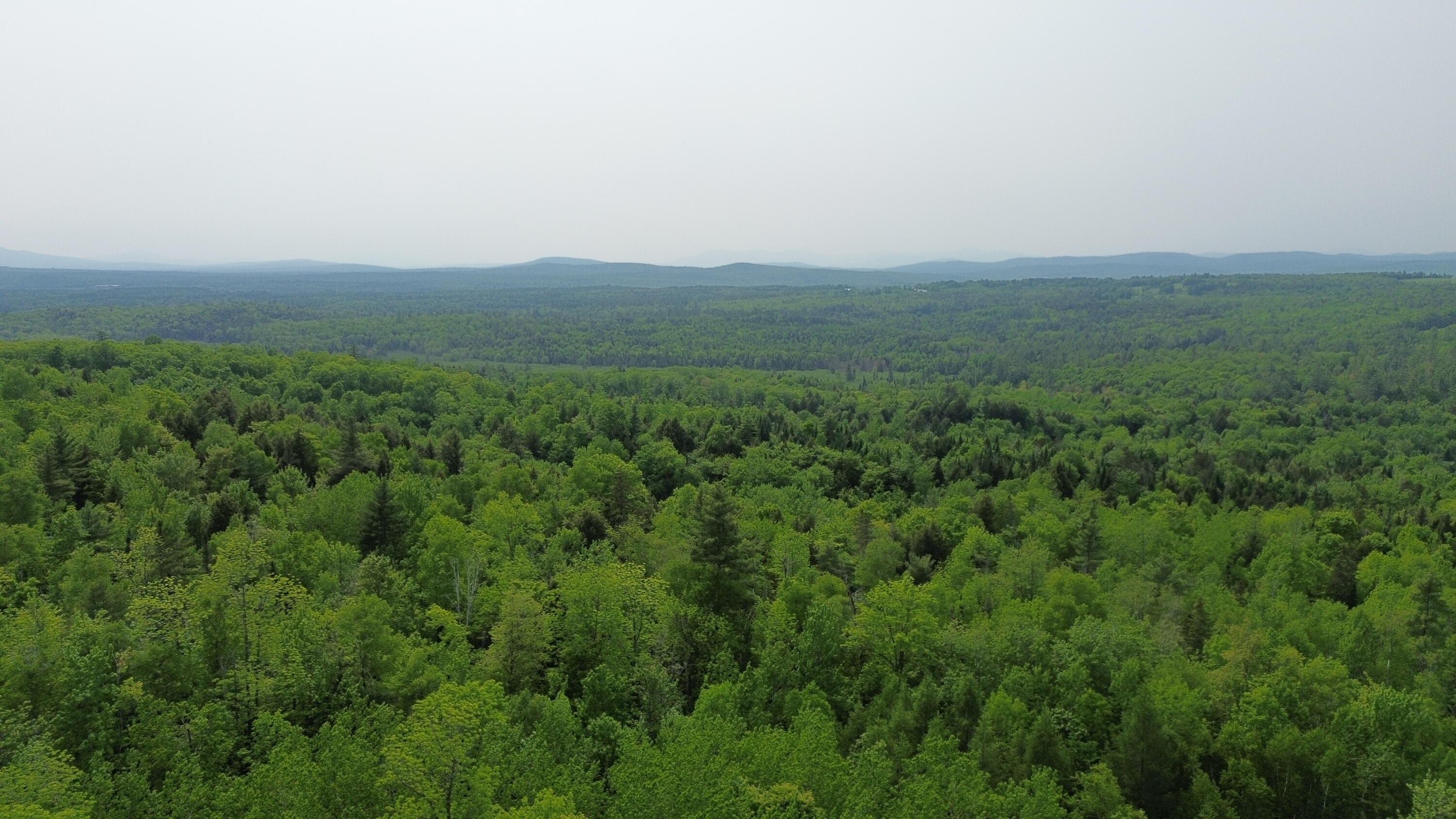 121 Parkman Hill Road Property Photo 3