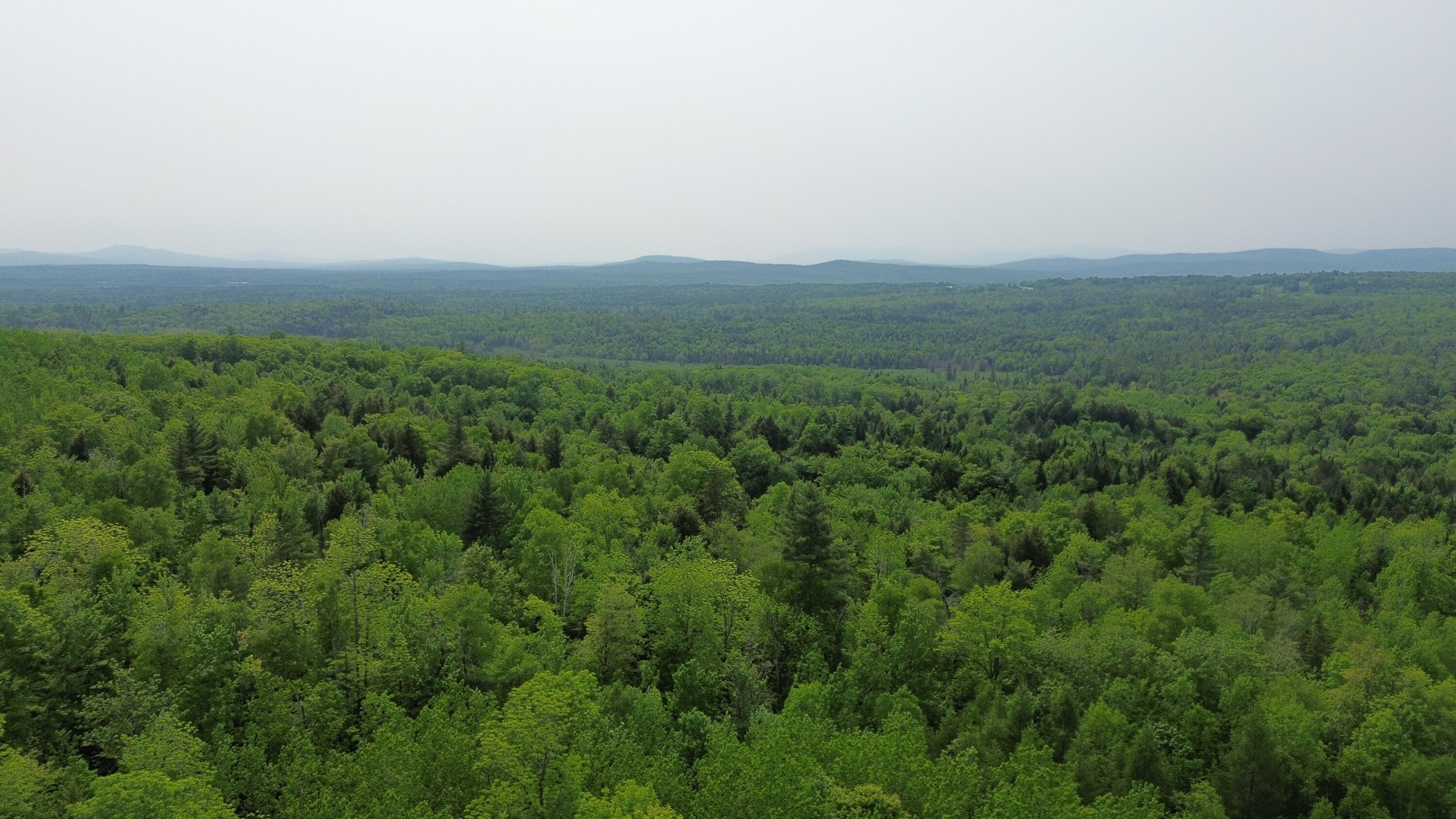 121 Parkman Hill Road Property Photo 4