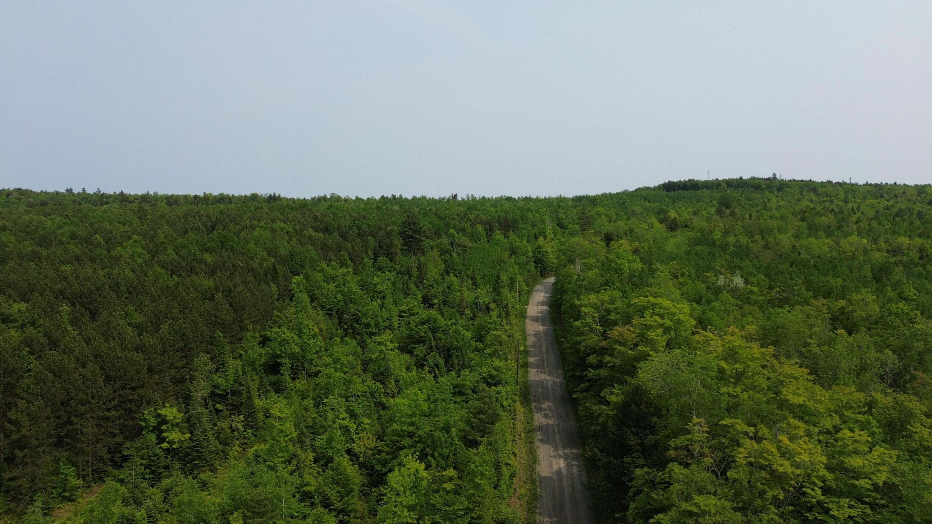 121 Parkman Hill Road Property Photo 6