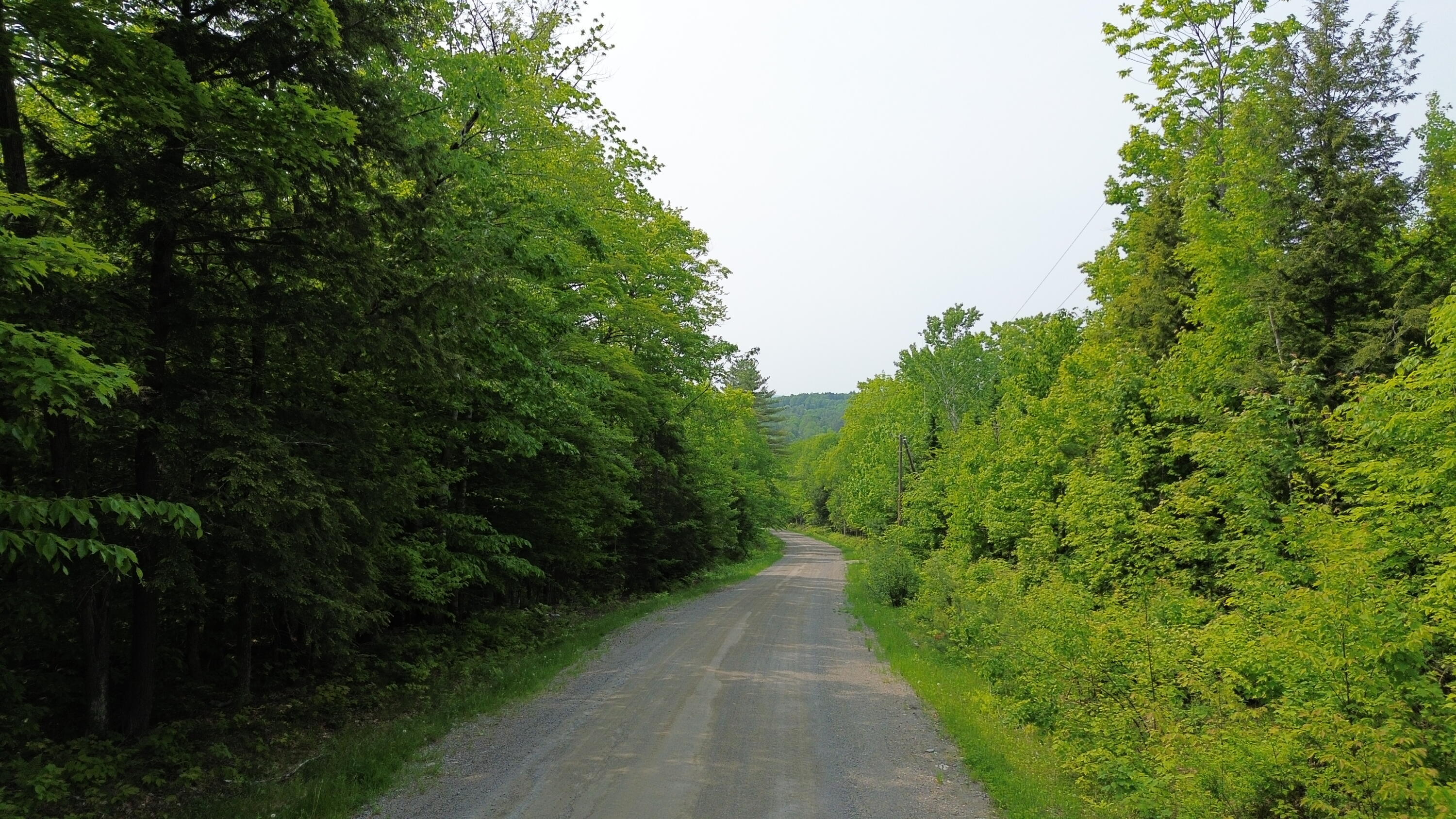 121 Parkman Hill Road Property Photo 8