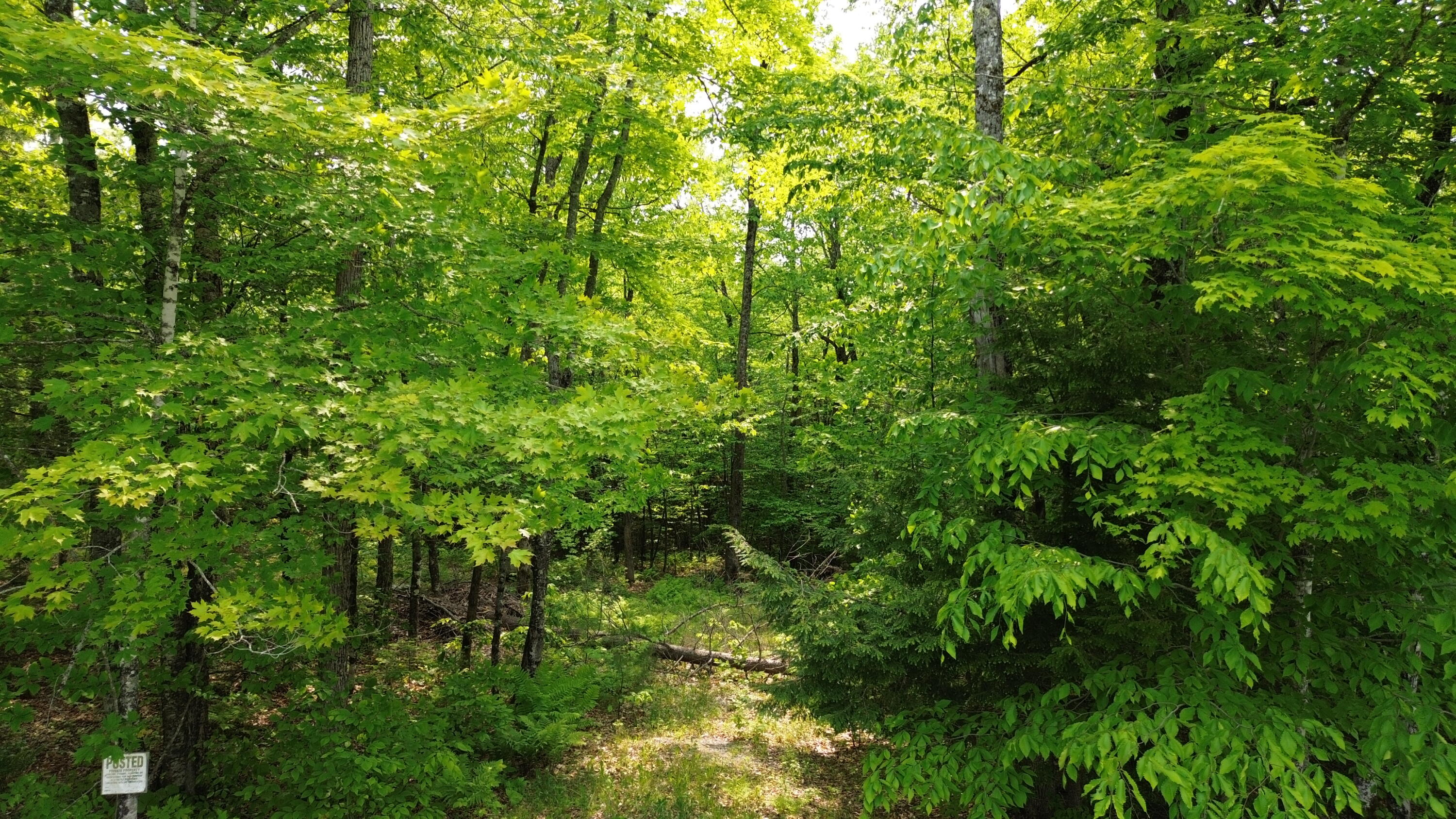 121 Parkman Hill Road Property Photo 10