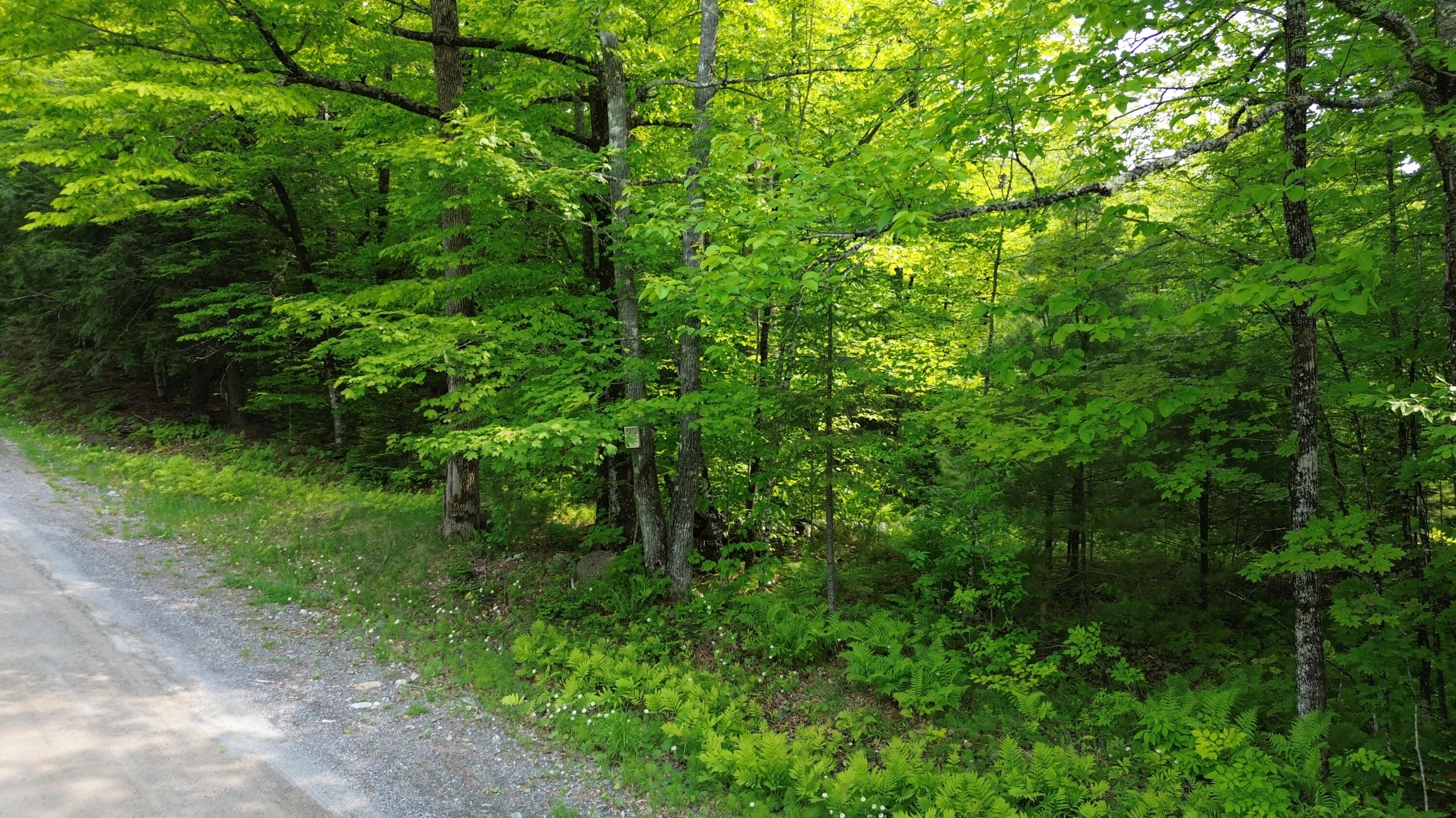 121 Parkman Hill Road Property Photo 11