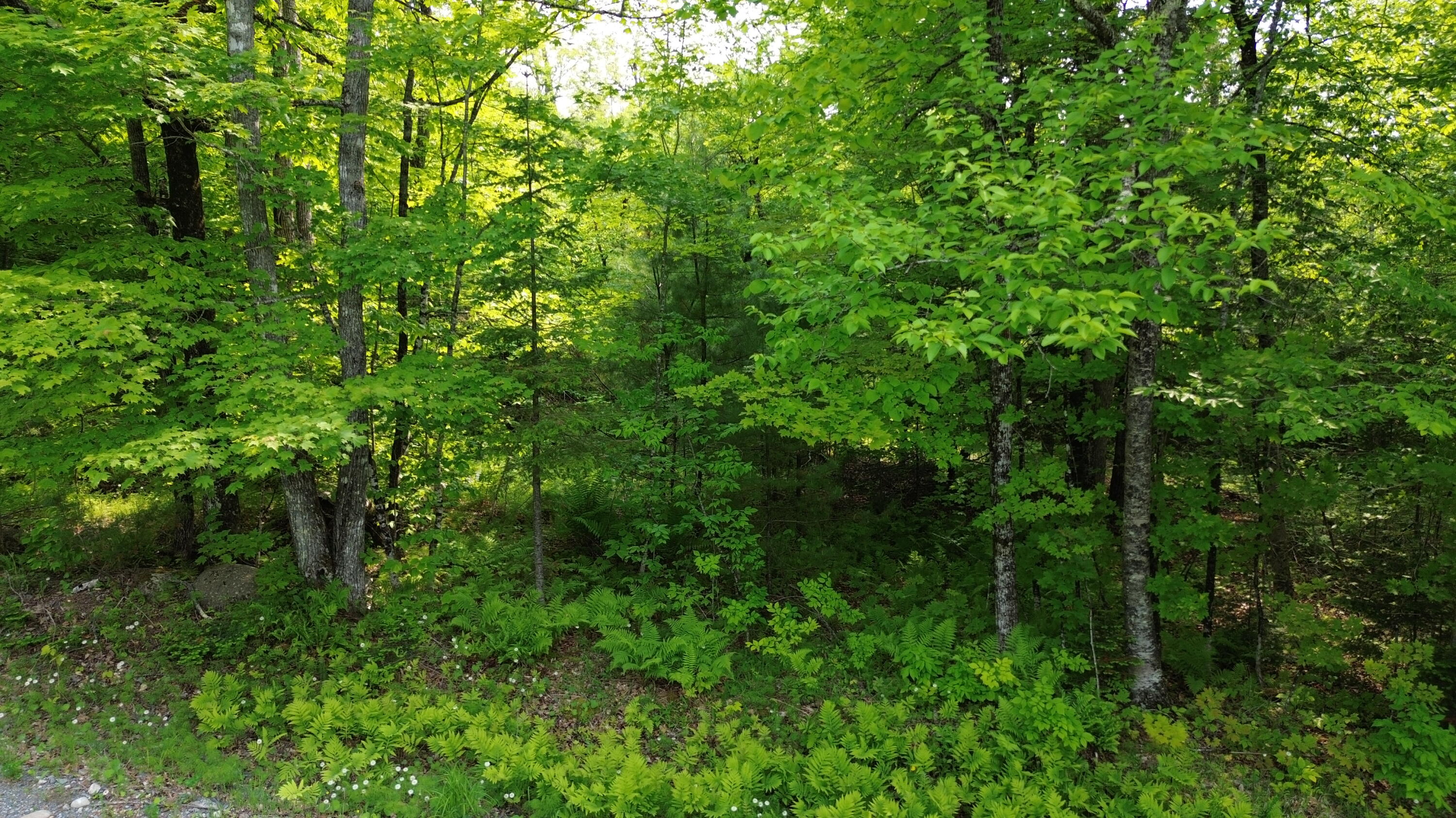 121 Parkman Hill Road Property Photo 12