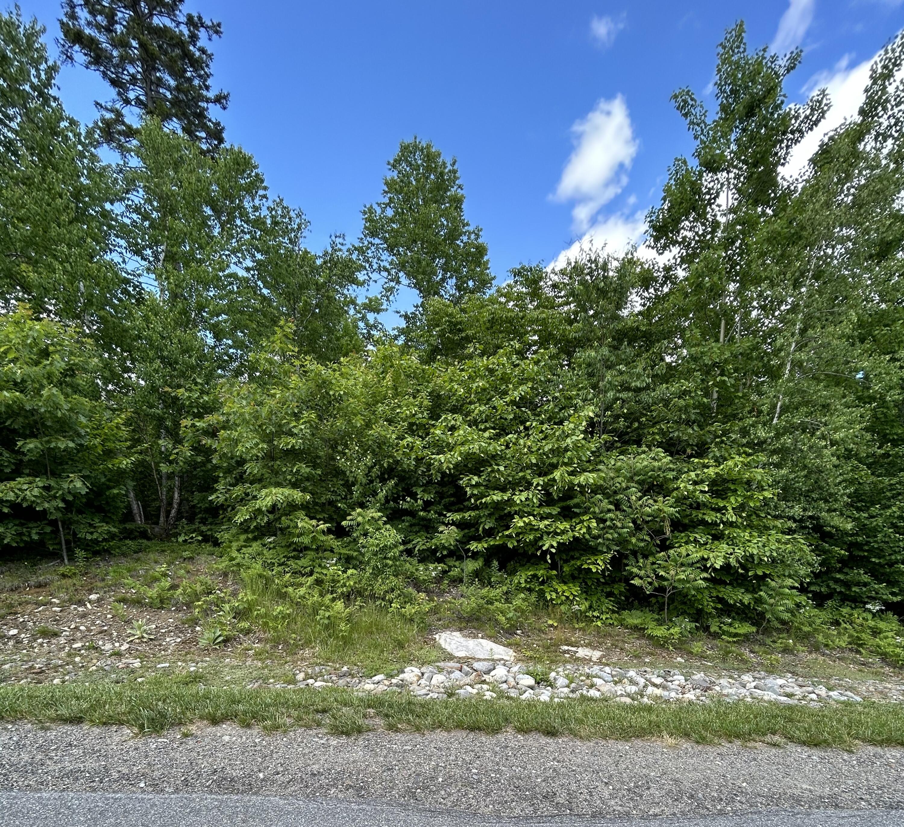 Lot 11 Overlook Drive Property Photo 1