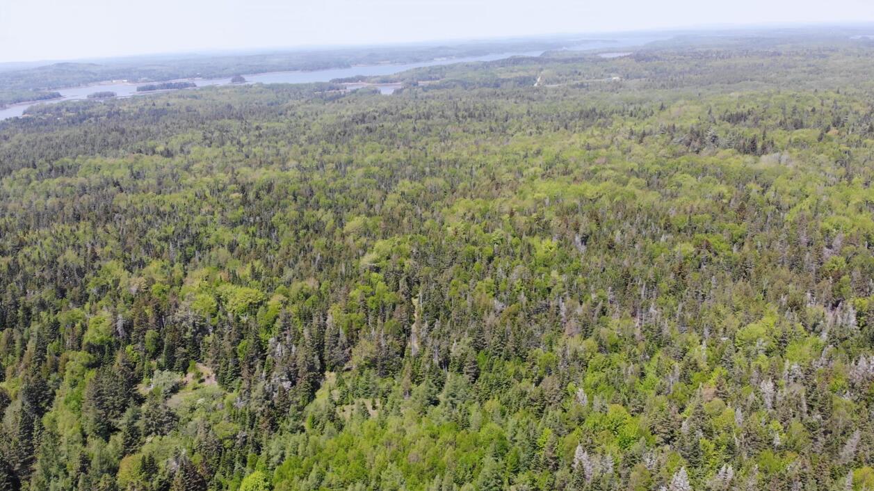 0 Map Wa032 Plan 01 Lot 103.1 Property Photo 7