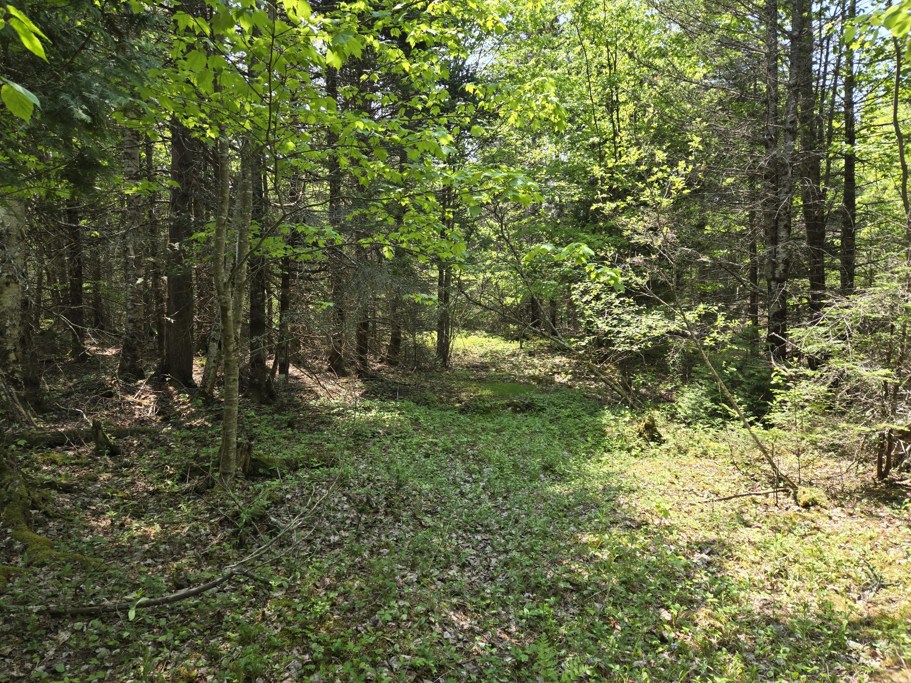 0 Map Wa032 Plan 01 Lot 103.1 Property Photo 10