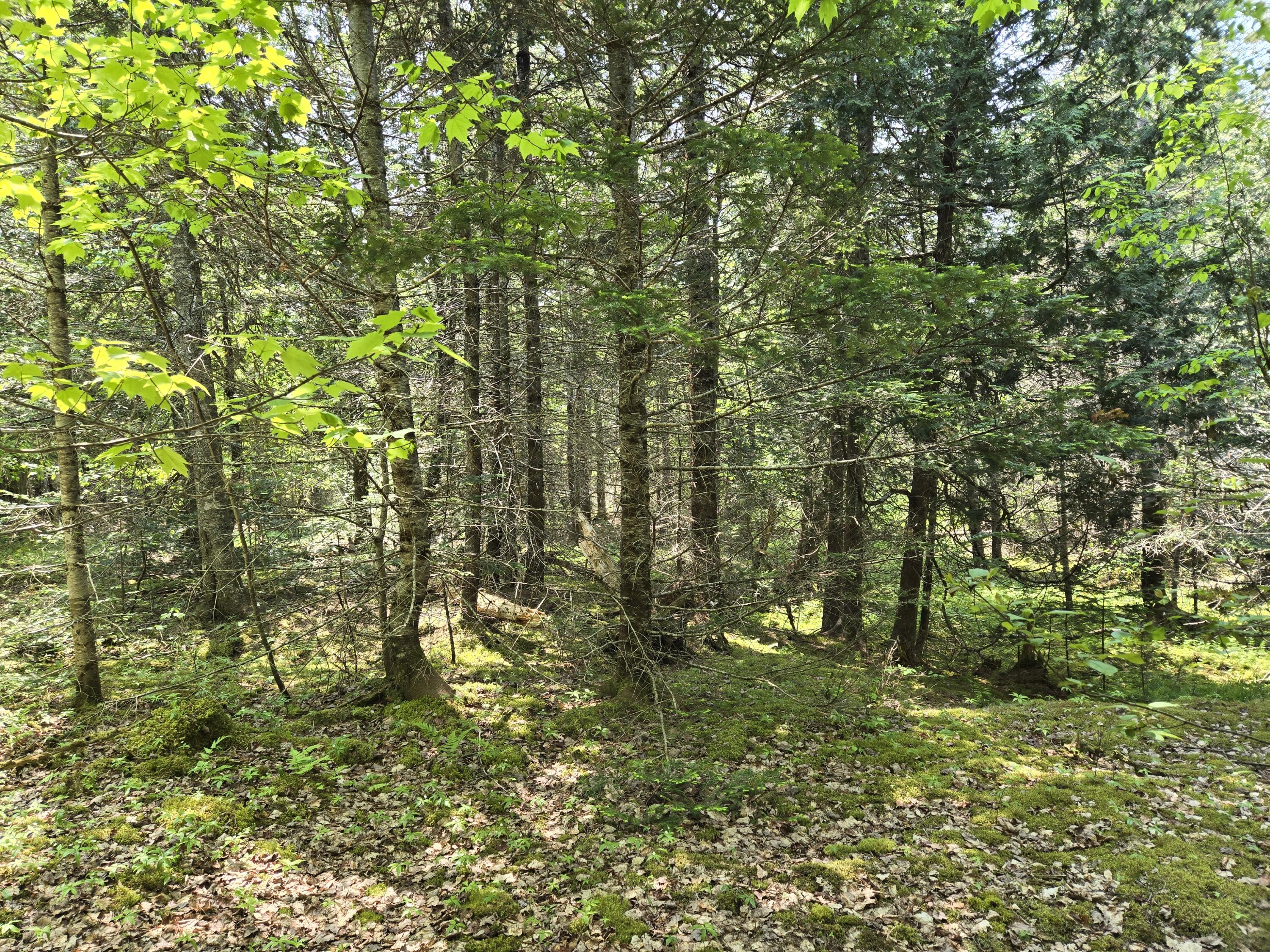 0 Map Wa032 Plan 01 Lot 103.1 Property Photo 11