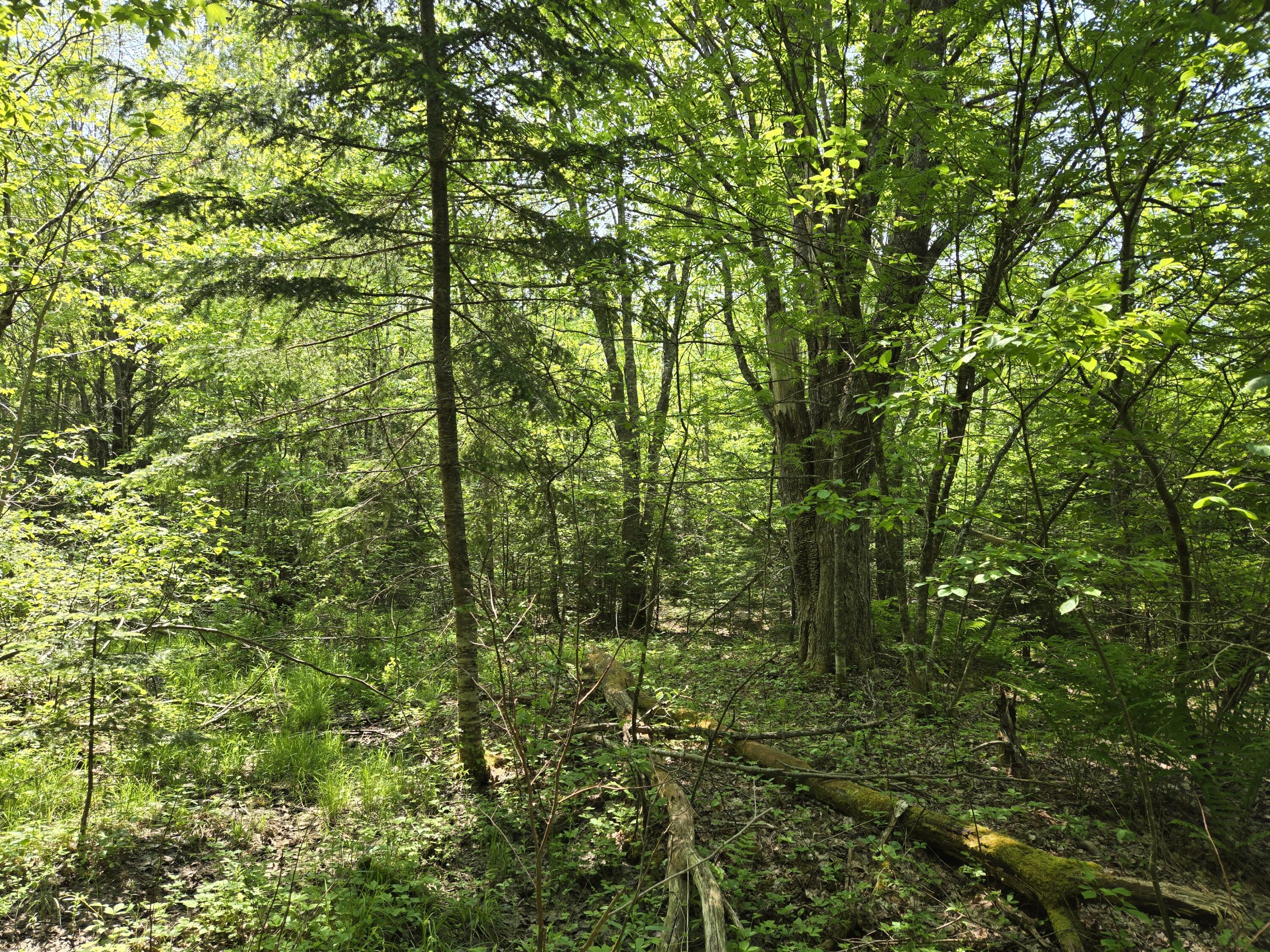 0 Map Wa032 Plan 01 Lot 103.1 Property Photo 23