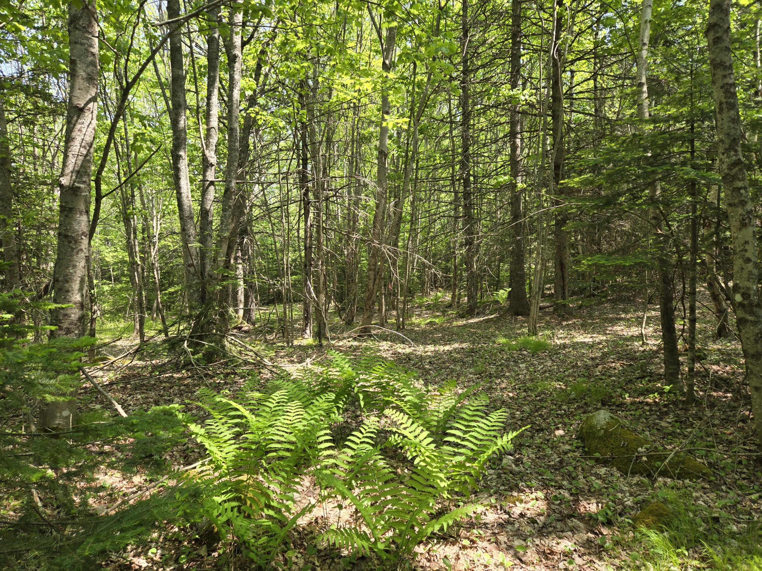 0 Map Wa032 Plan 01 Lot 103.1 Property Photo 24