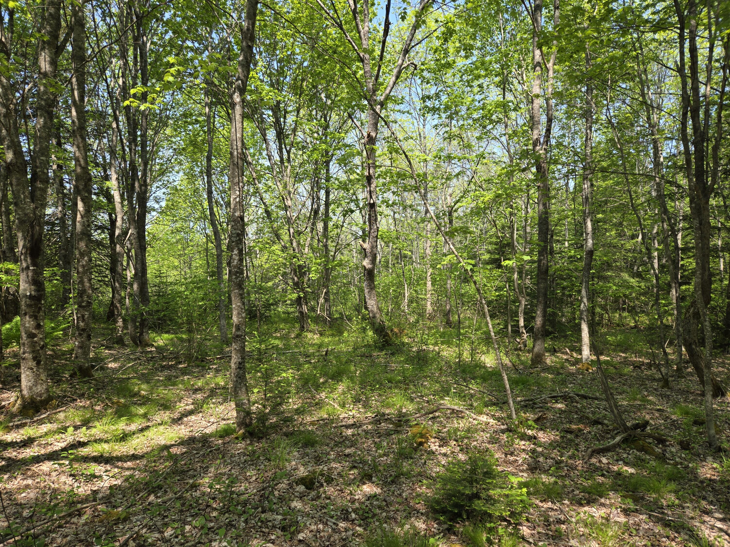 0 Map Wa032 Plan 01 Lot 103.1 Property Photo 25