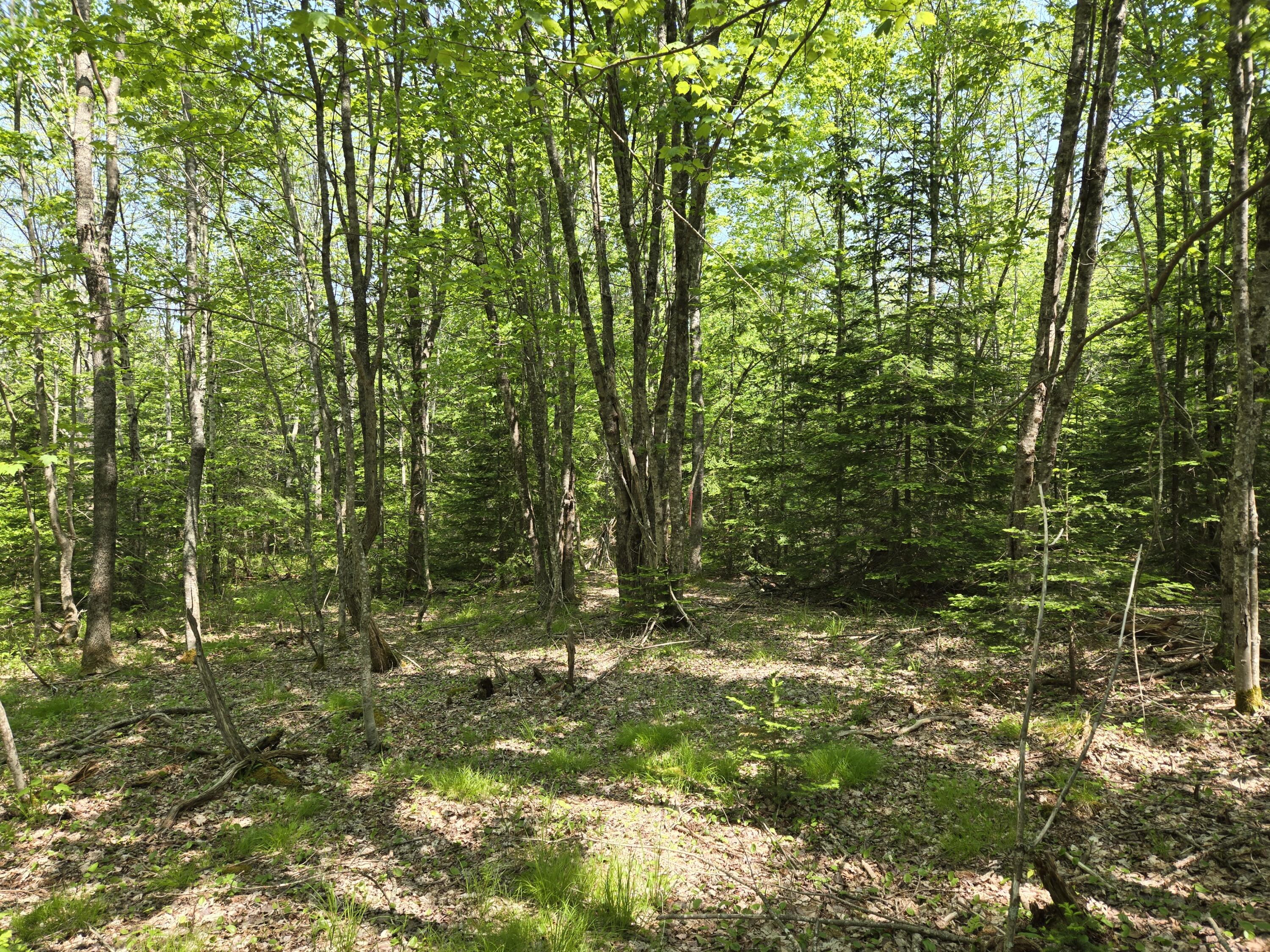 0 Map Wa032 Plan 01 Lot 103.1 Property Photo 26