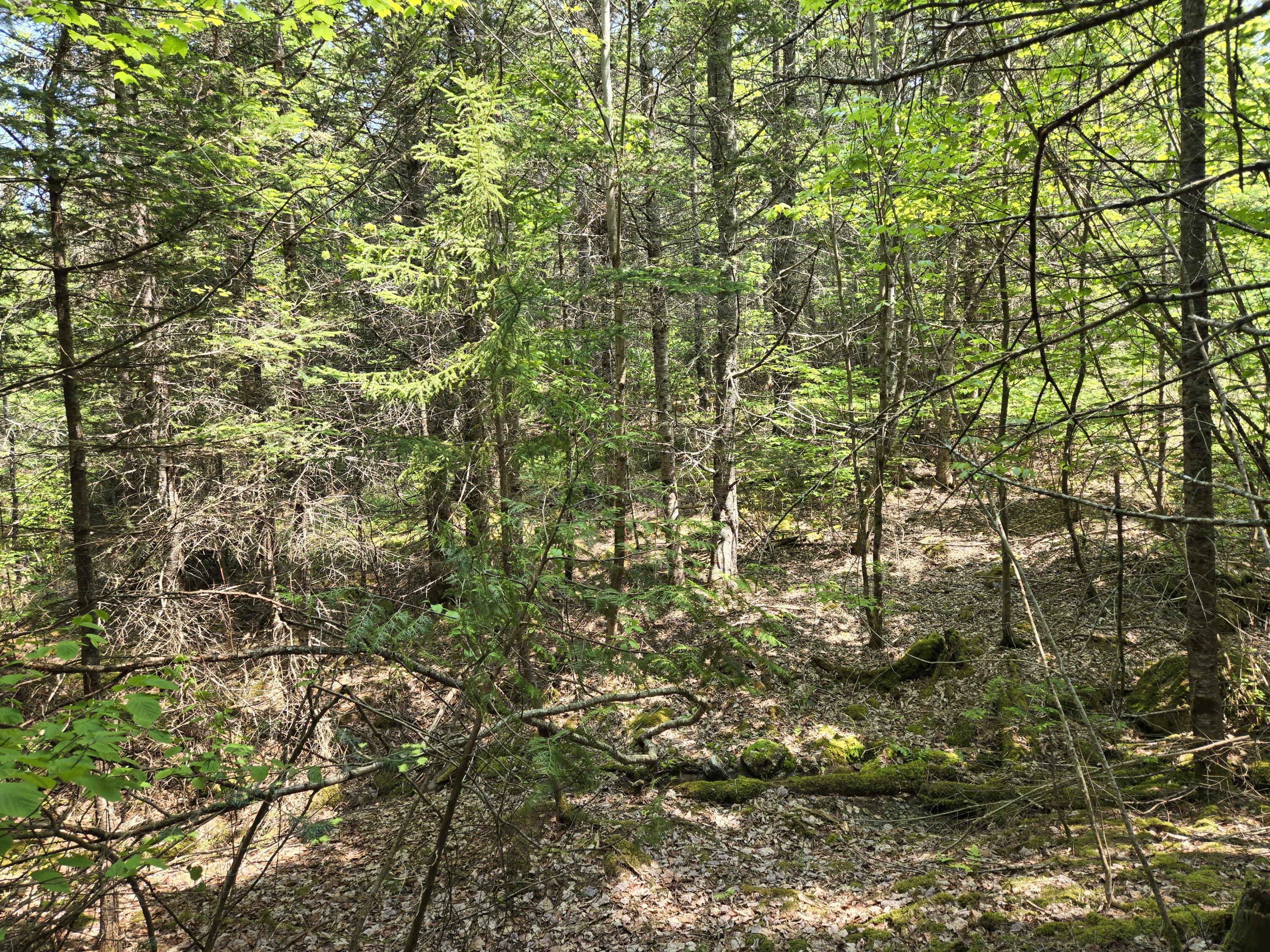0 Map Wa032 Plan 01 Lot 103.1 Property Photo 28