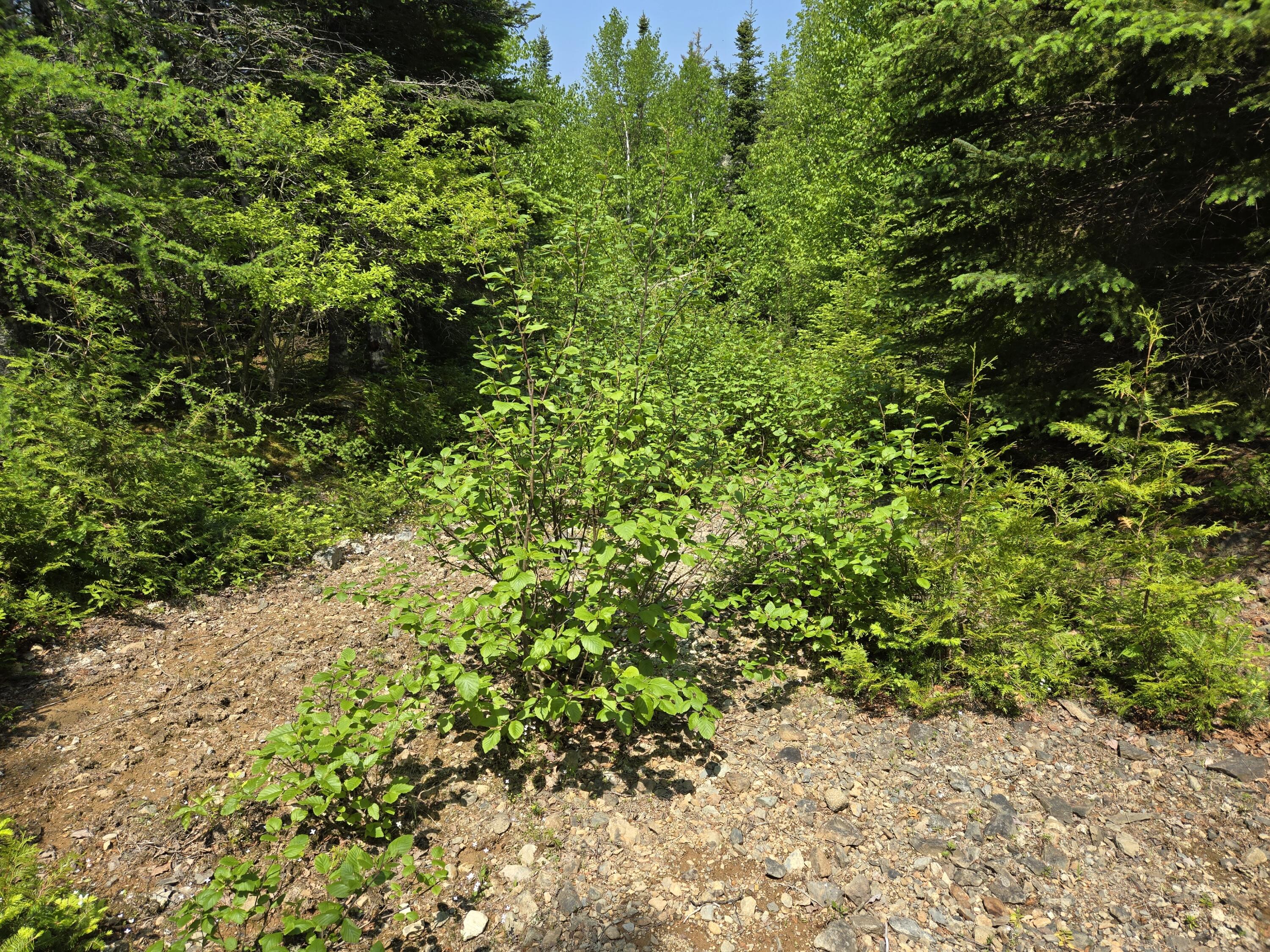 0 Map Wa032 Plan 01 Lot 103.1 Property Photo 29