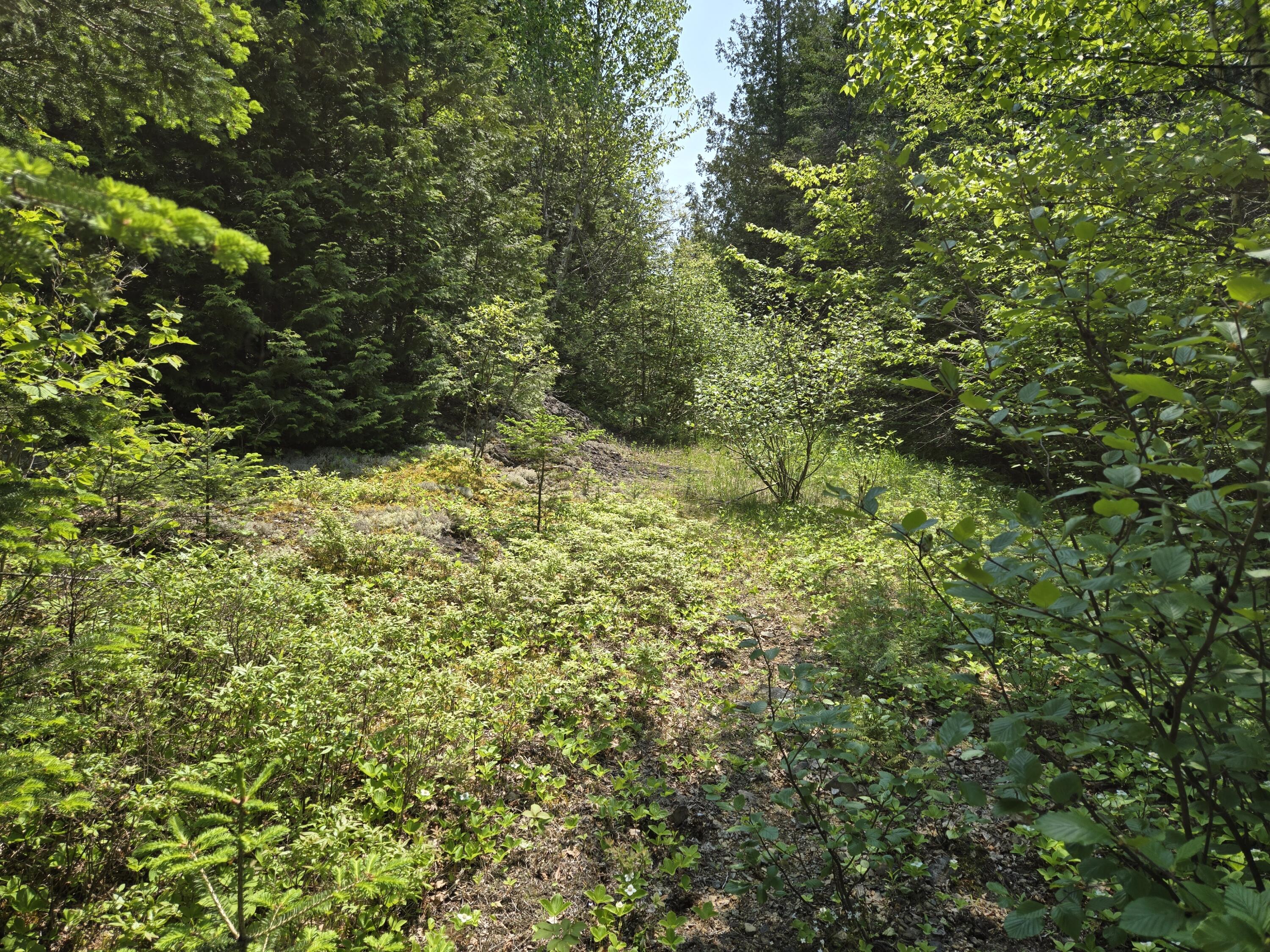 0 Map Wa032 Plan 01 Lot 103.1 Property Photo 30