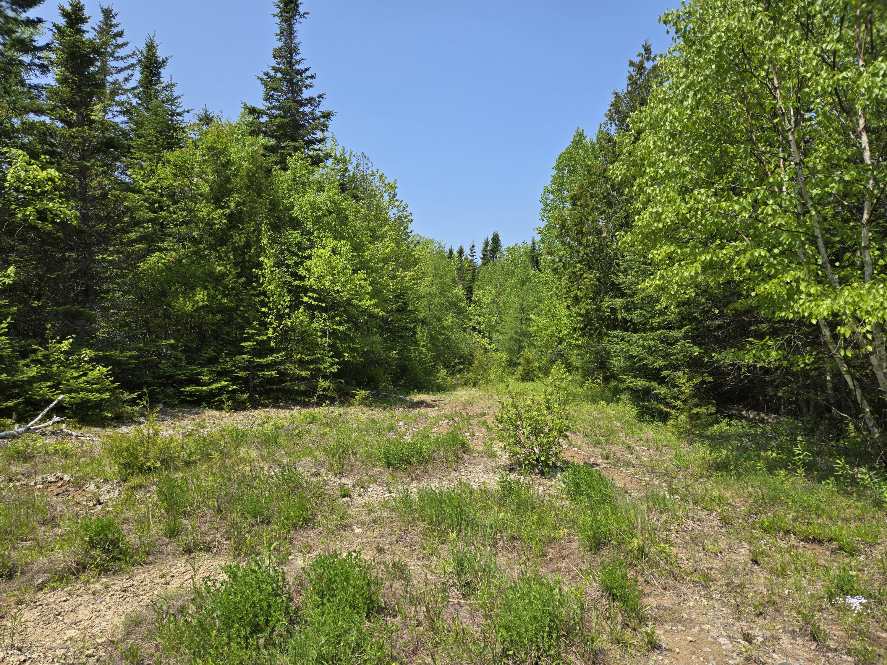 0 Map Wa032 Plan 01 Lot 103.1 Property Photo 32