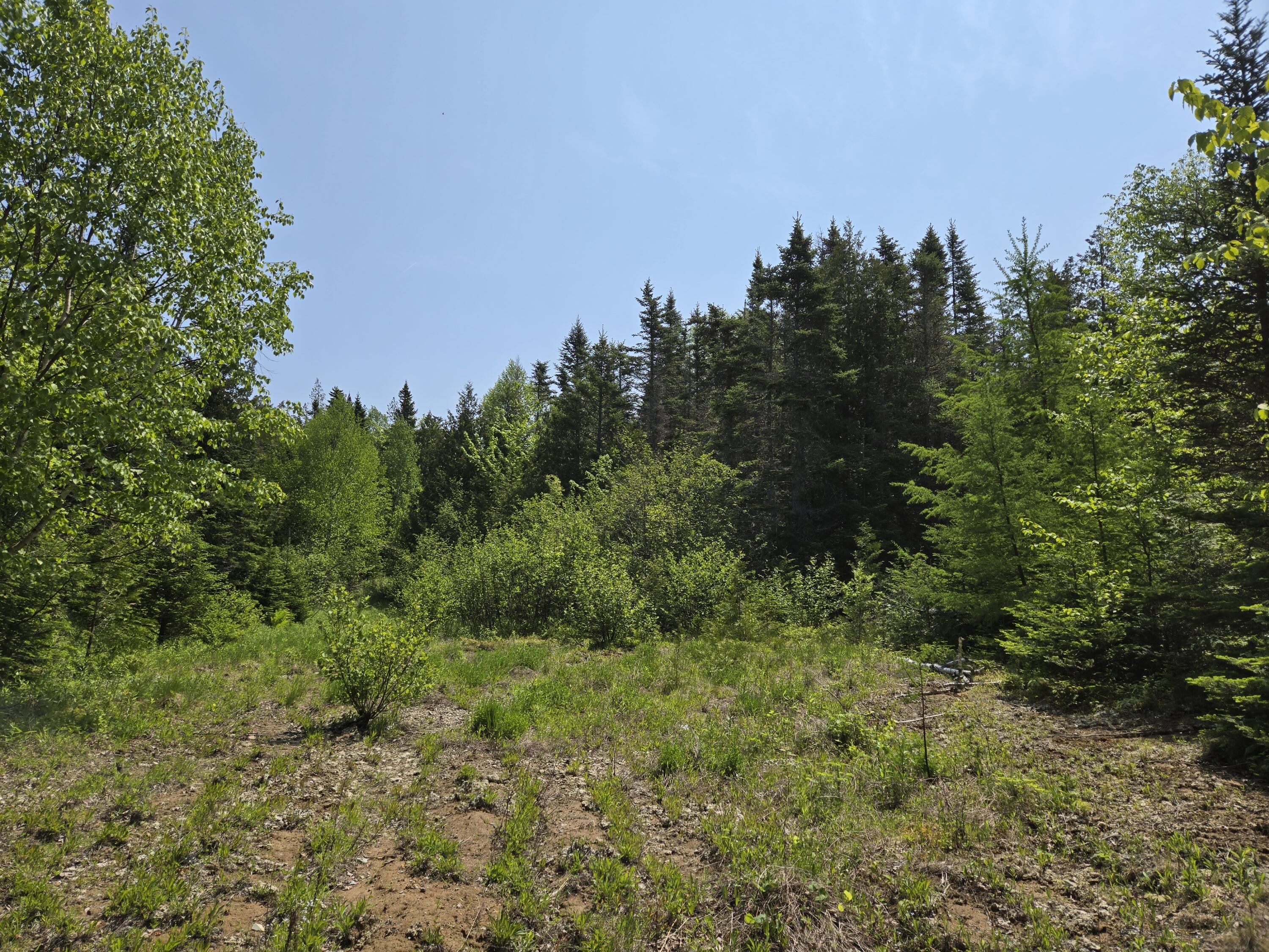0 Map Wa032 Plan 01 Lot 103.1 Property Photo 34