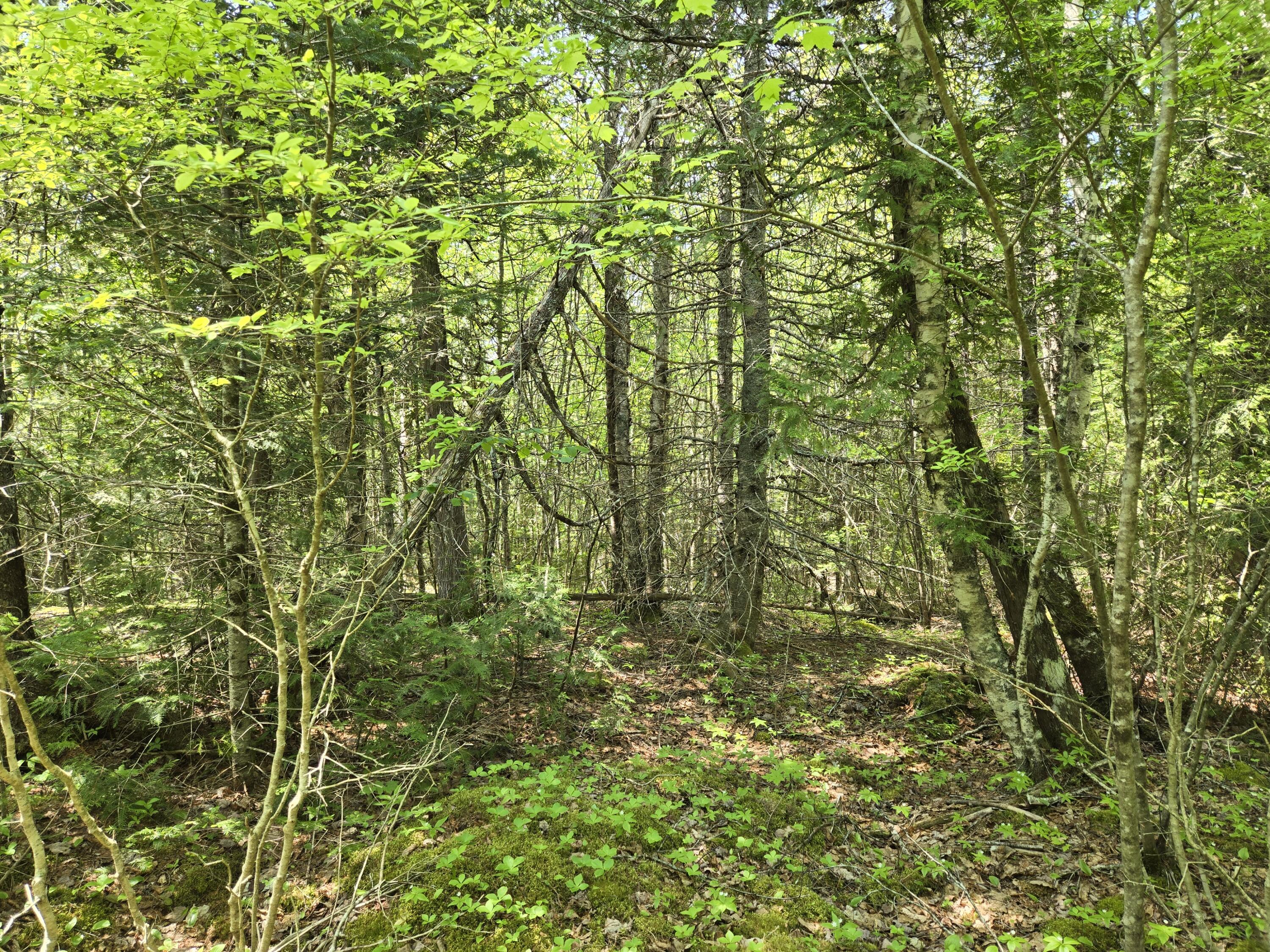 0 Map Wa032 Plan 01 Lot 103.1 Property Photo 35