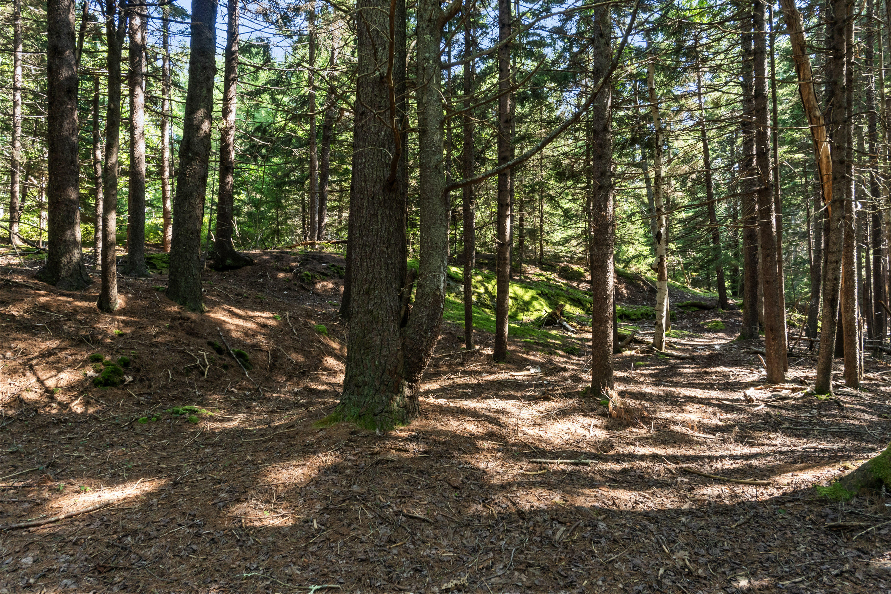 Lot 2b Allen Point Road Property Photo 4