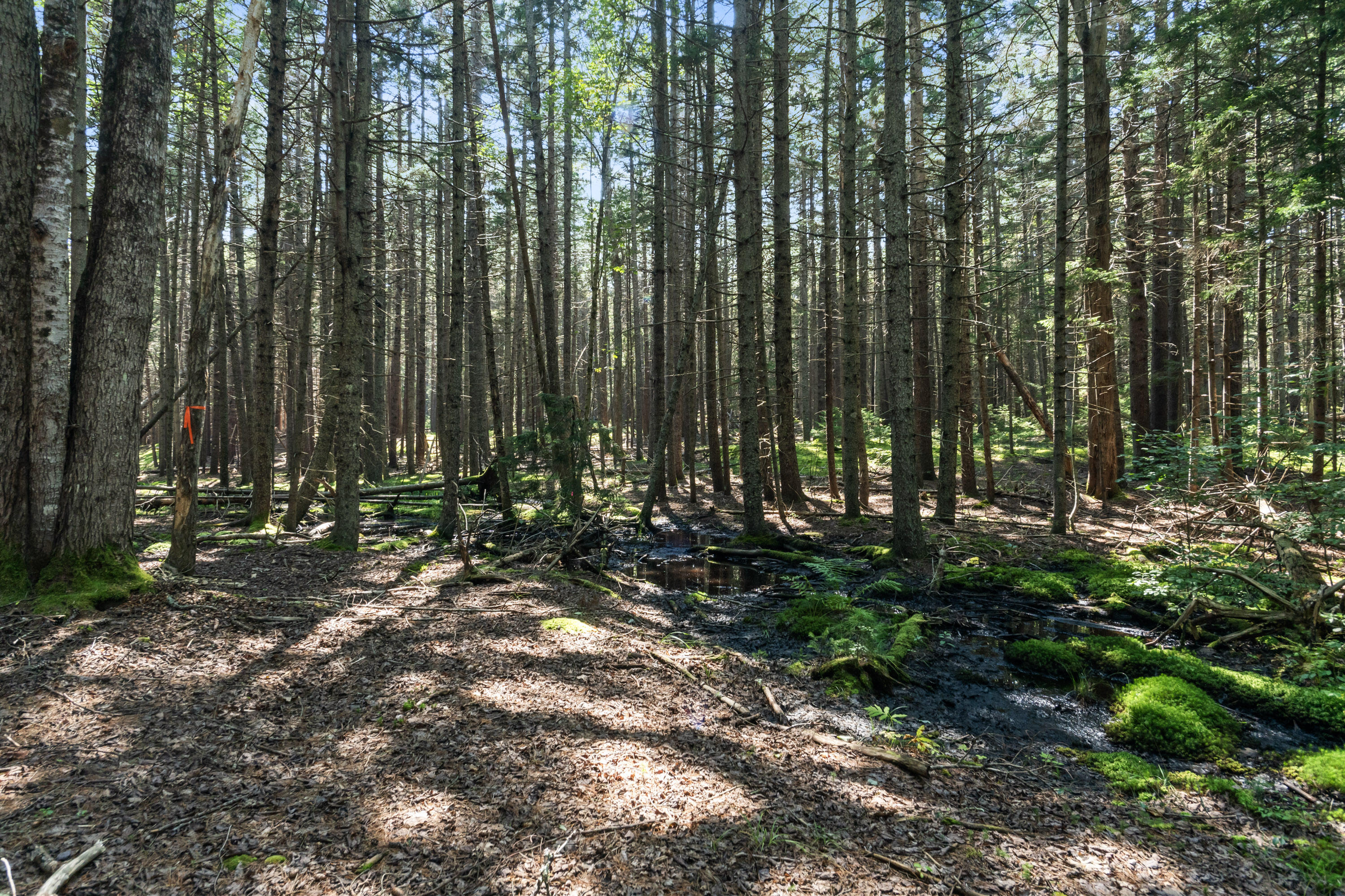 Lot 2b Allen Point Road Property Photo 5