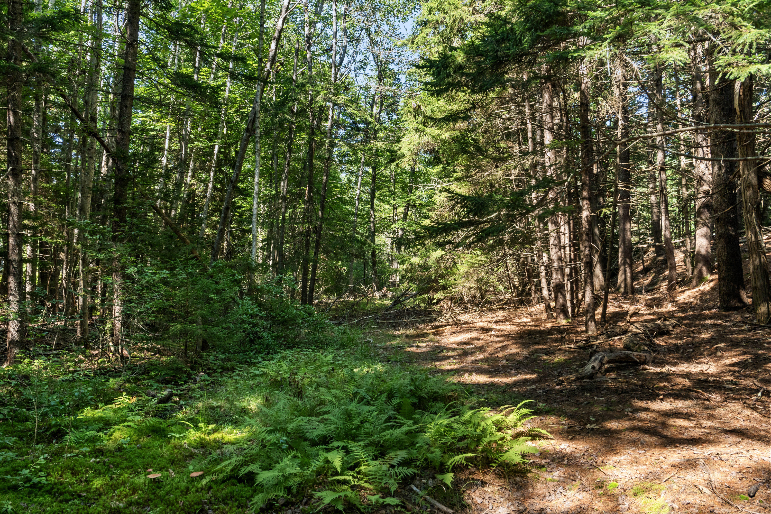 Lot 2b Allen Point Road Property Photo 7