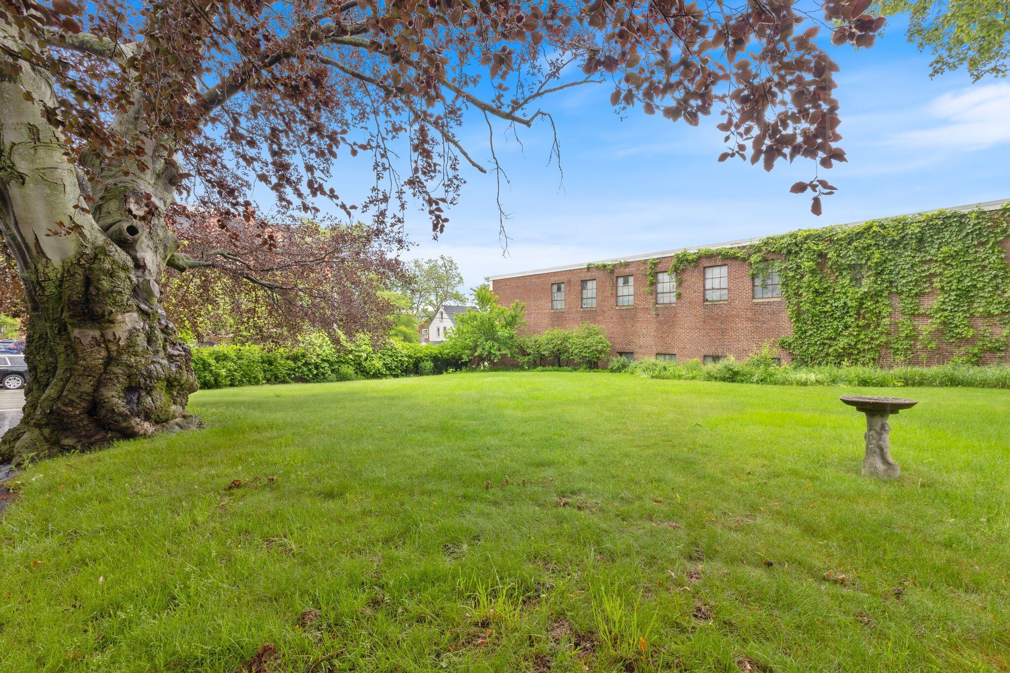 34 Birch Street Property Photo 12