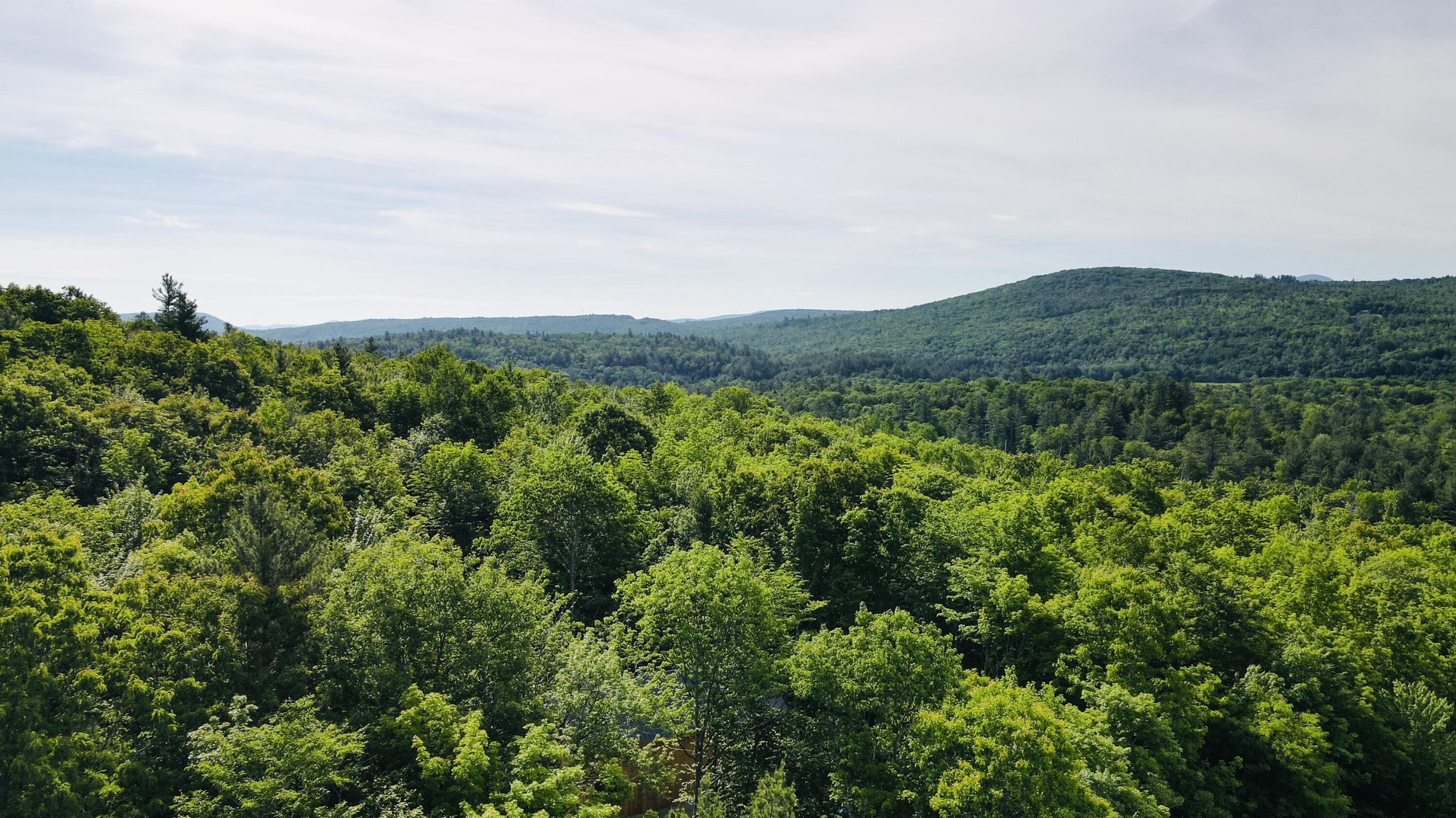 Lot #4 Mooseley Ridge Road Property Photo 1