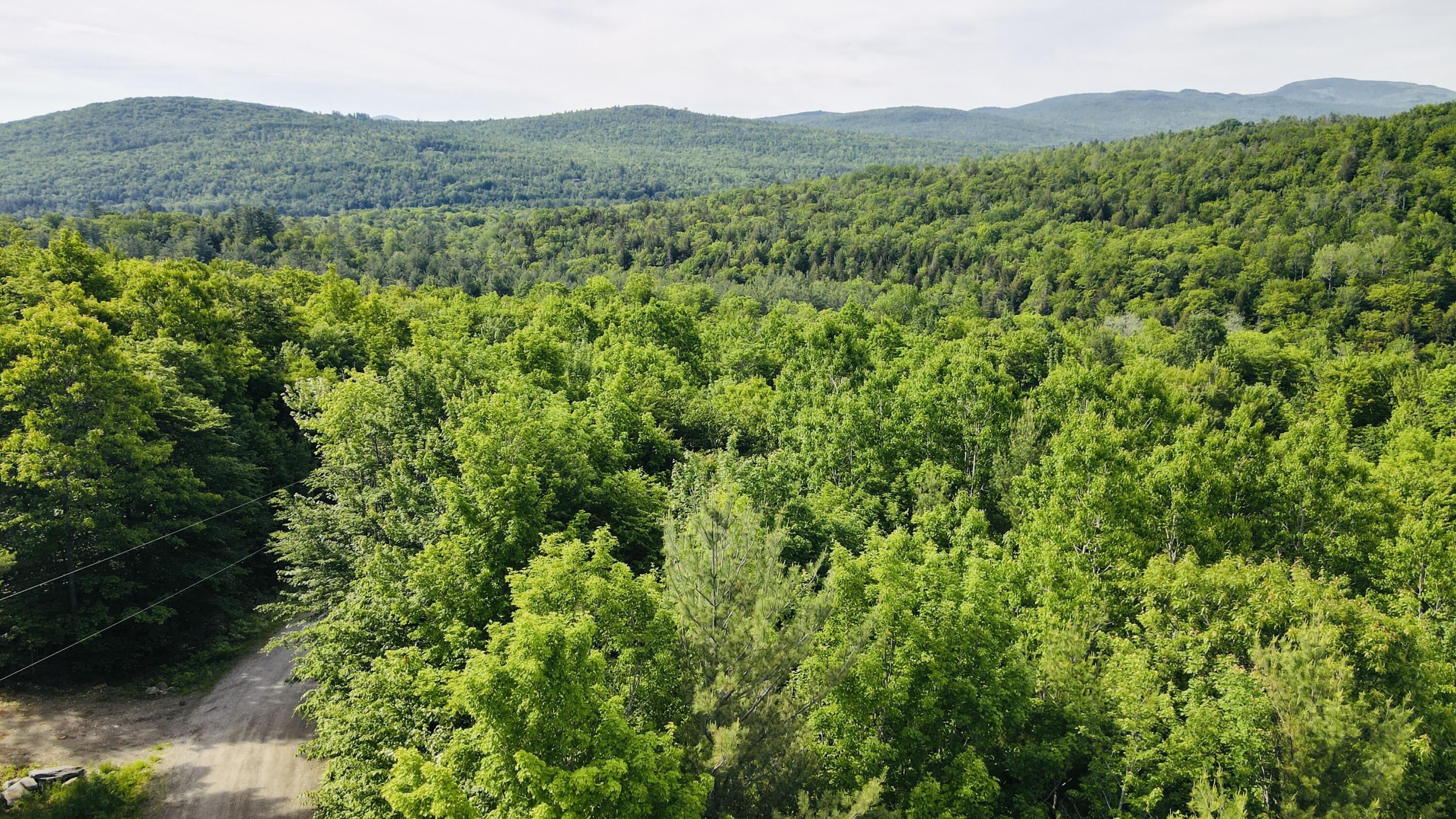 Lot #4 Mooseley Ridge Road Property Photo 4