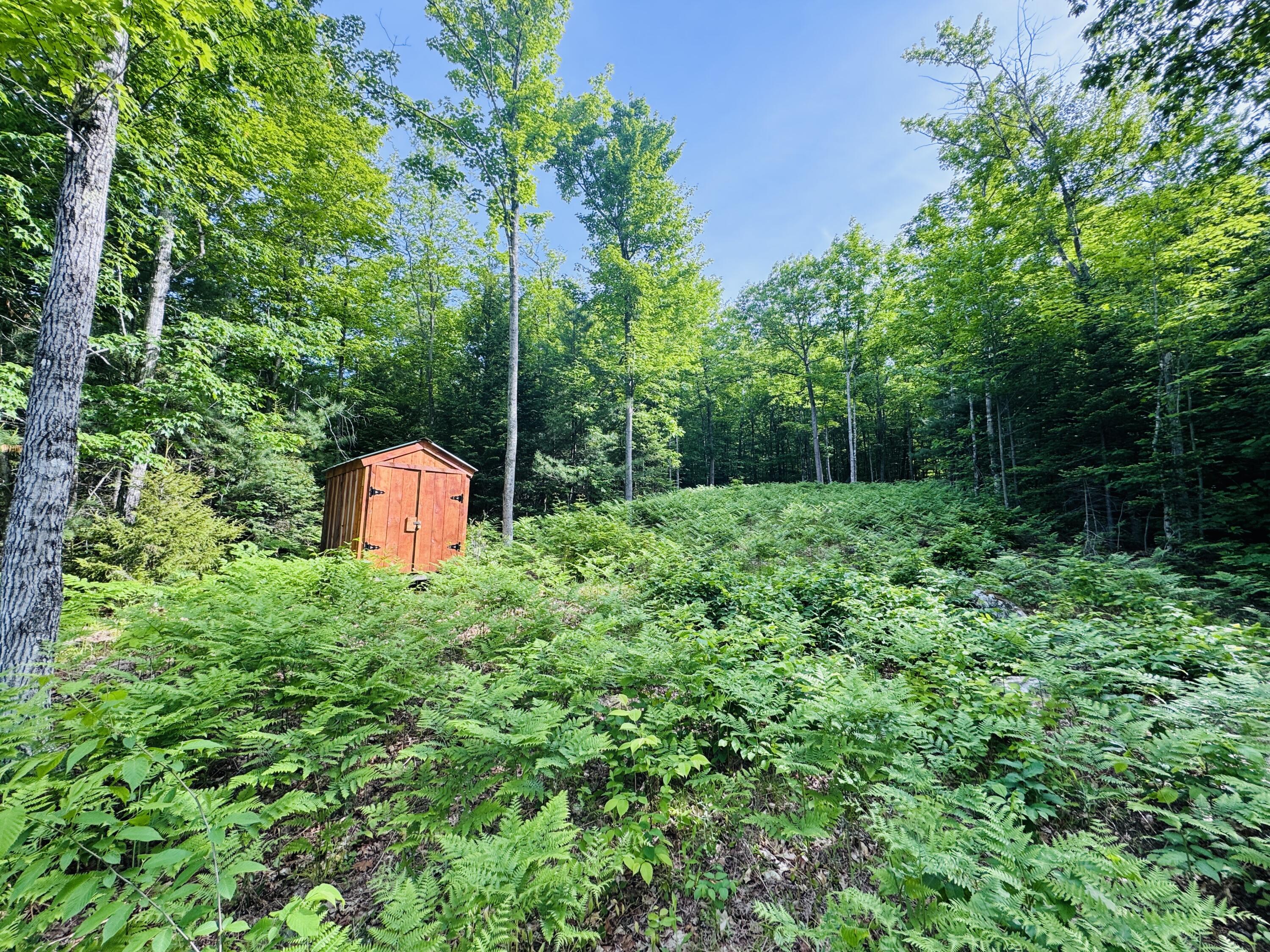Lot #4 Mooseley Ridge Road Property Photo 5