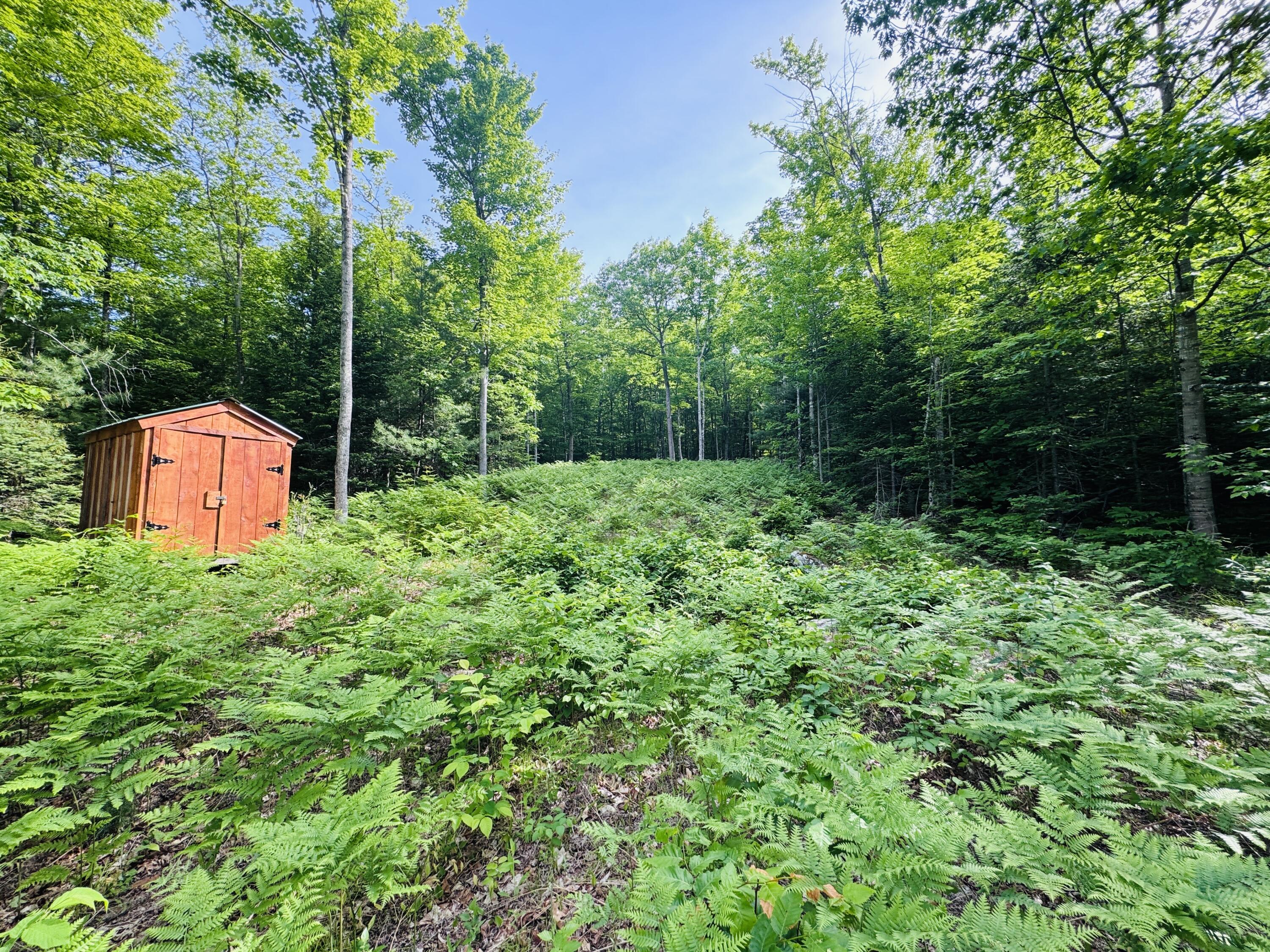 Lot #4 Mooseley Ridge Road Property Photo 8
