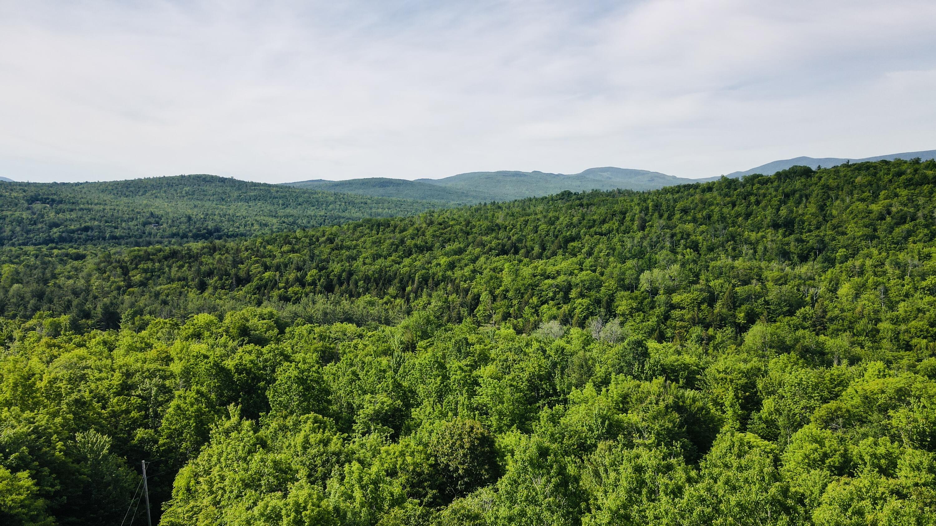 Lot #4 Mooseley Ridge Road Property Photo 19
