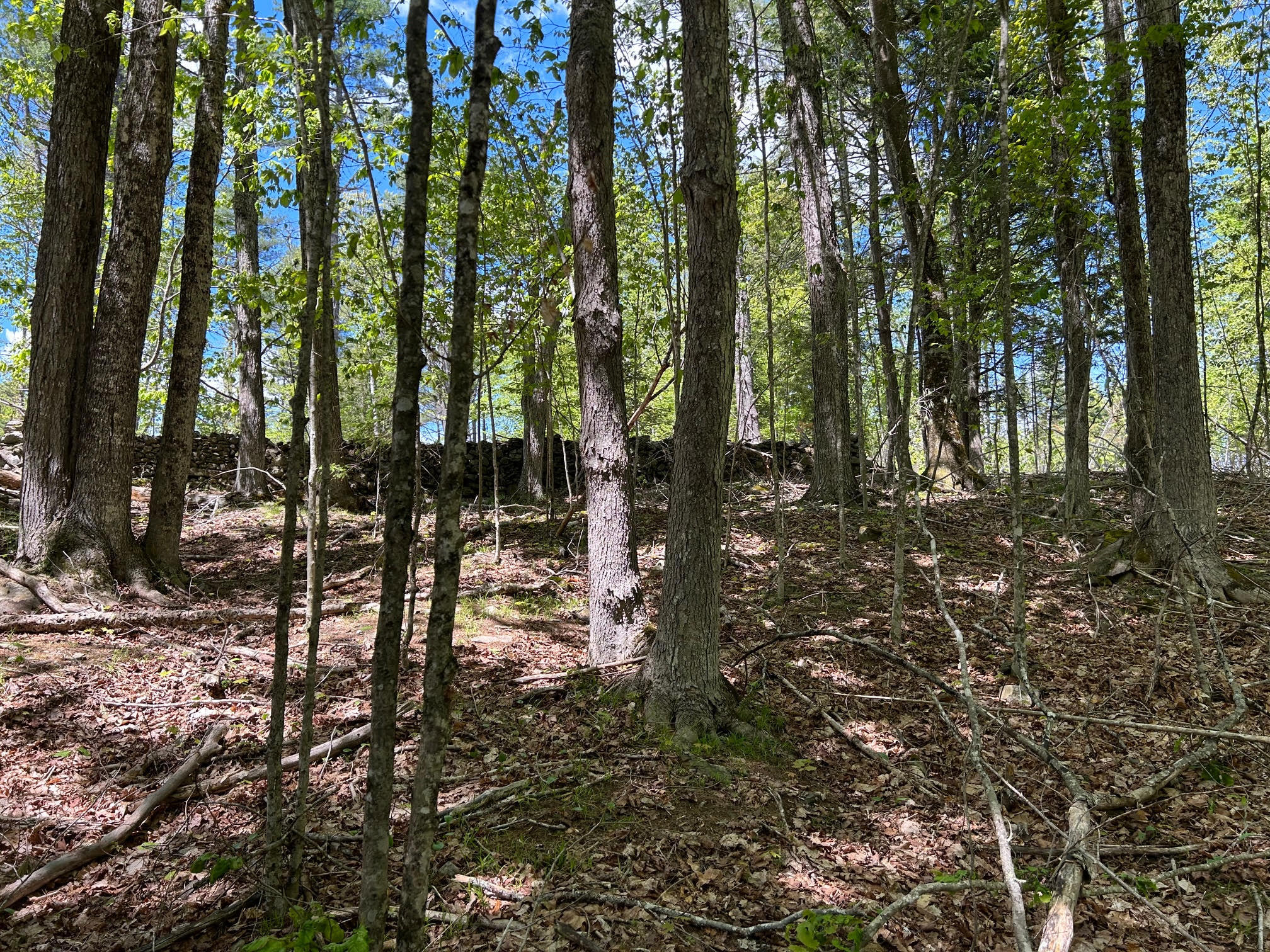 050-c-1 W Waldo Road Property Photo 10