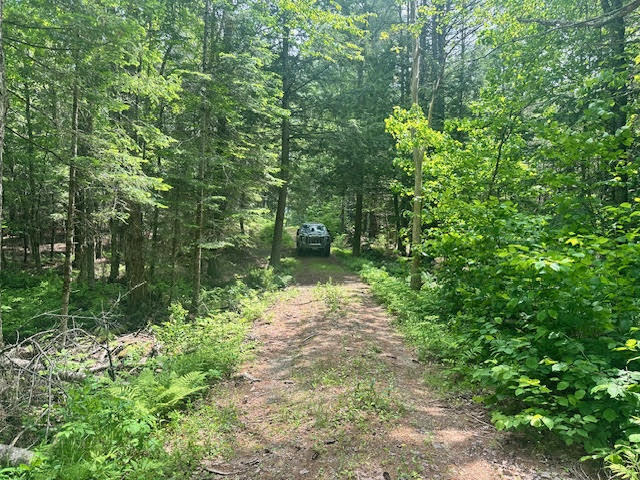 050-c-1 W Waldo Road Property Photo 13