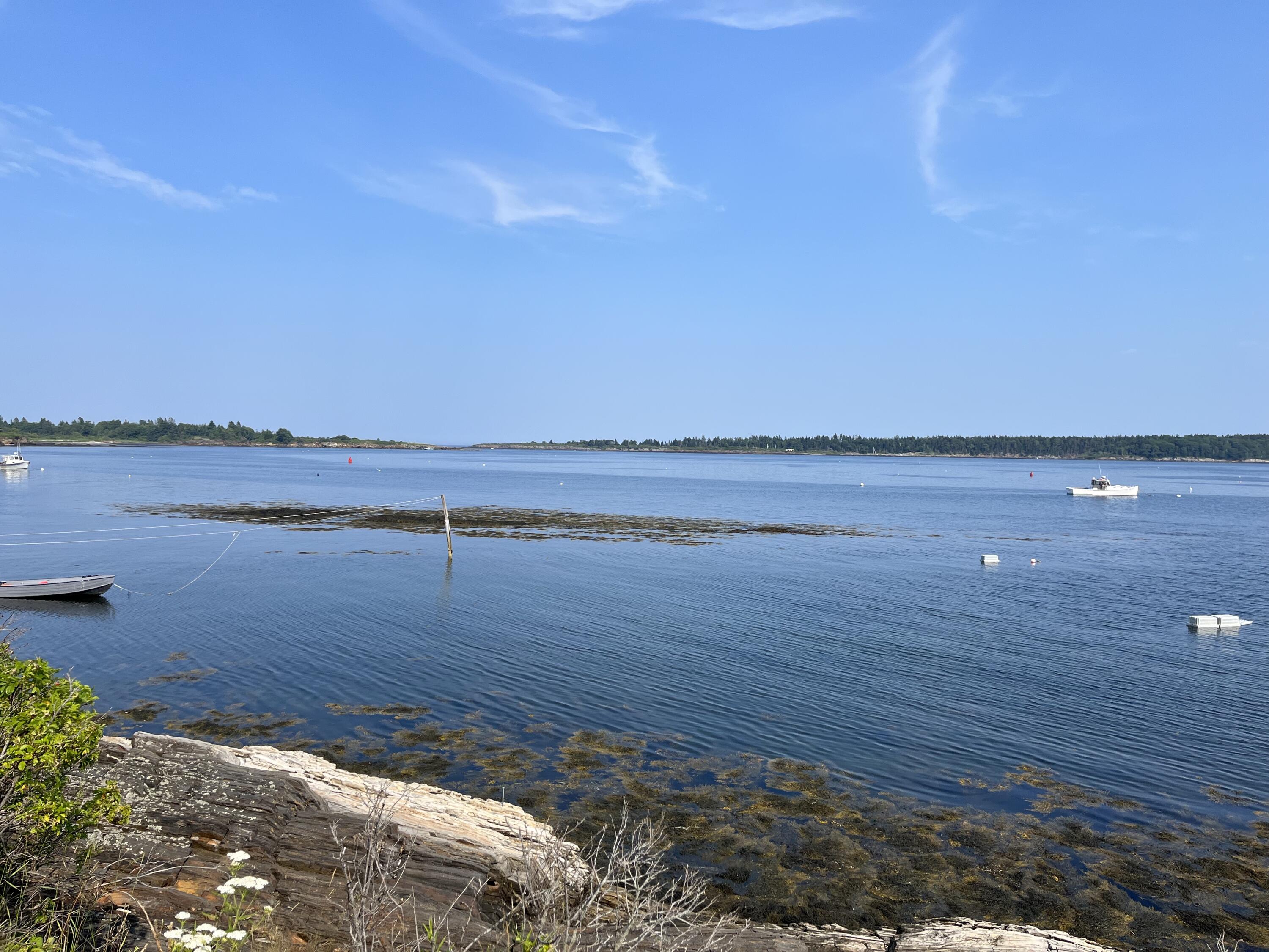 15 Fisherman's Cove Property Photo 29