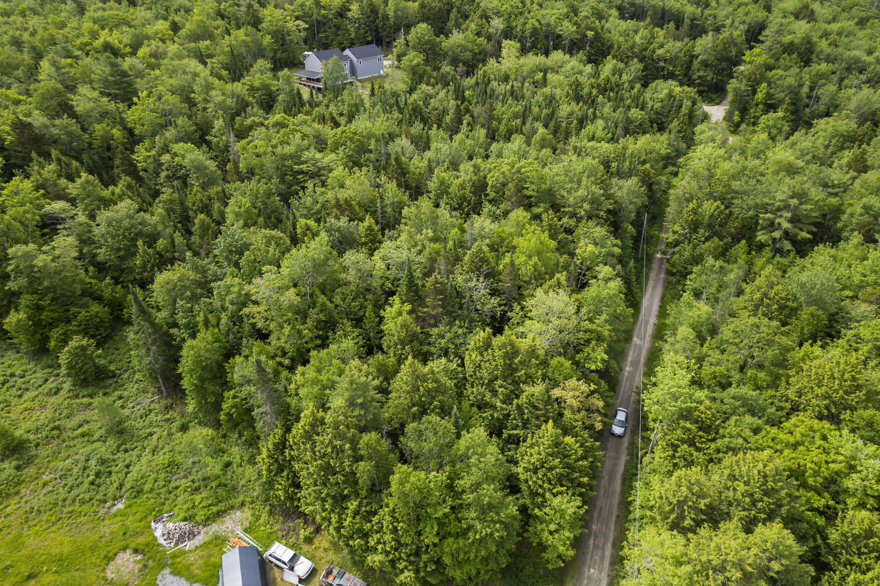44a Trott Road Road N Property Photo 29