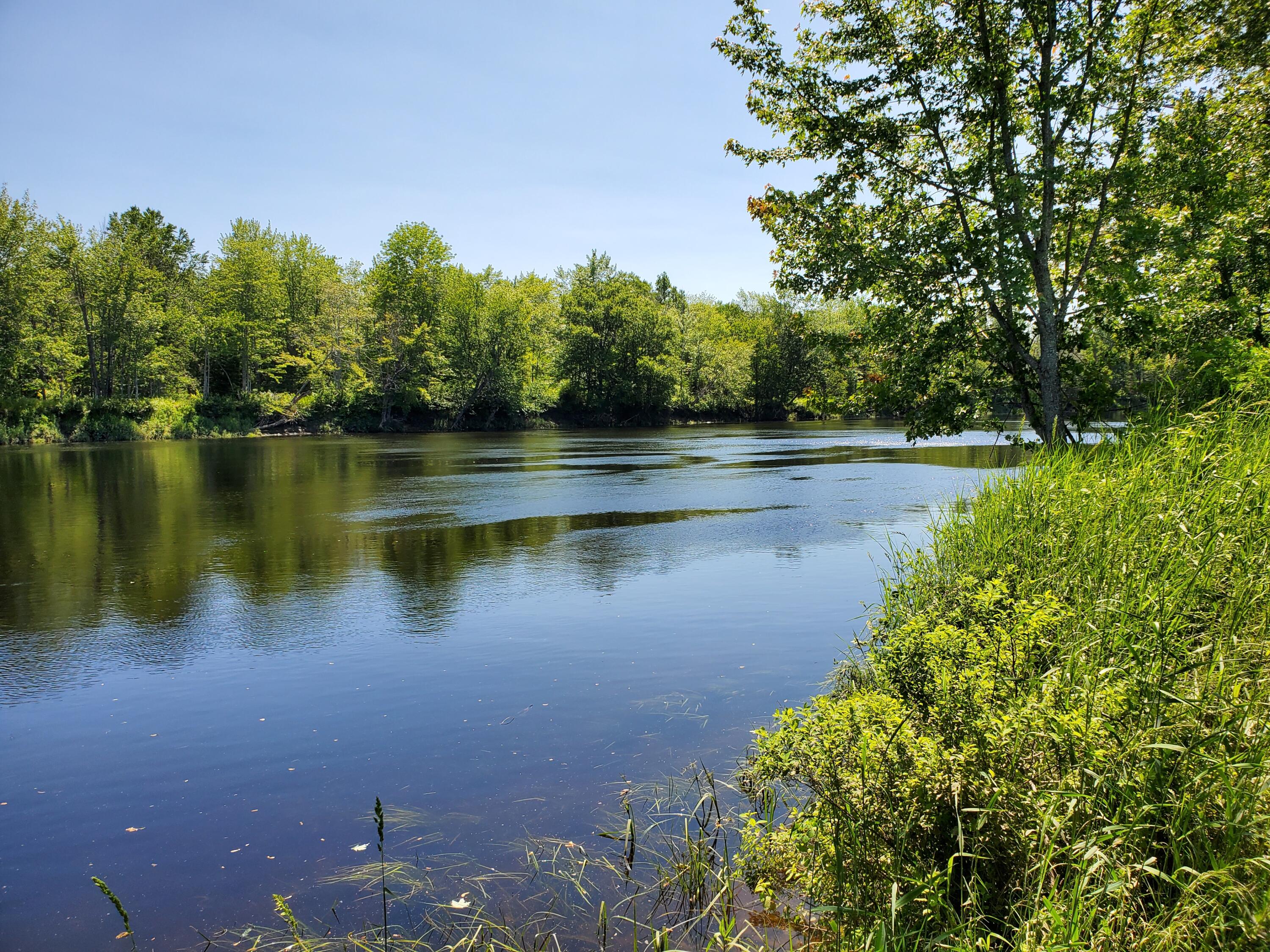 Lot 12-7 Emery Farm Road Property Photo 1