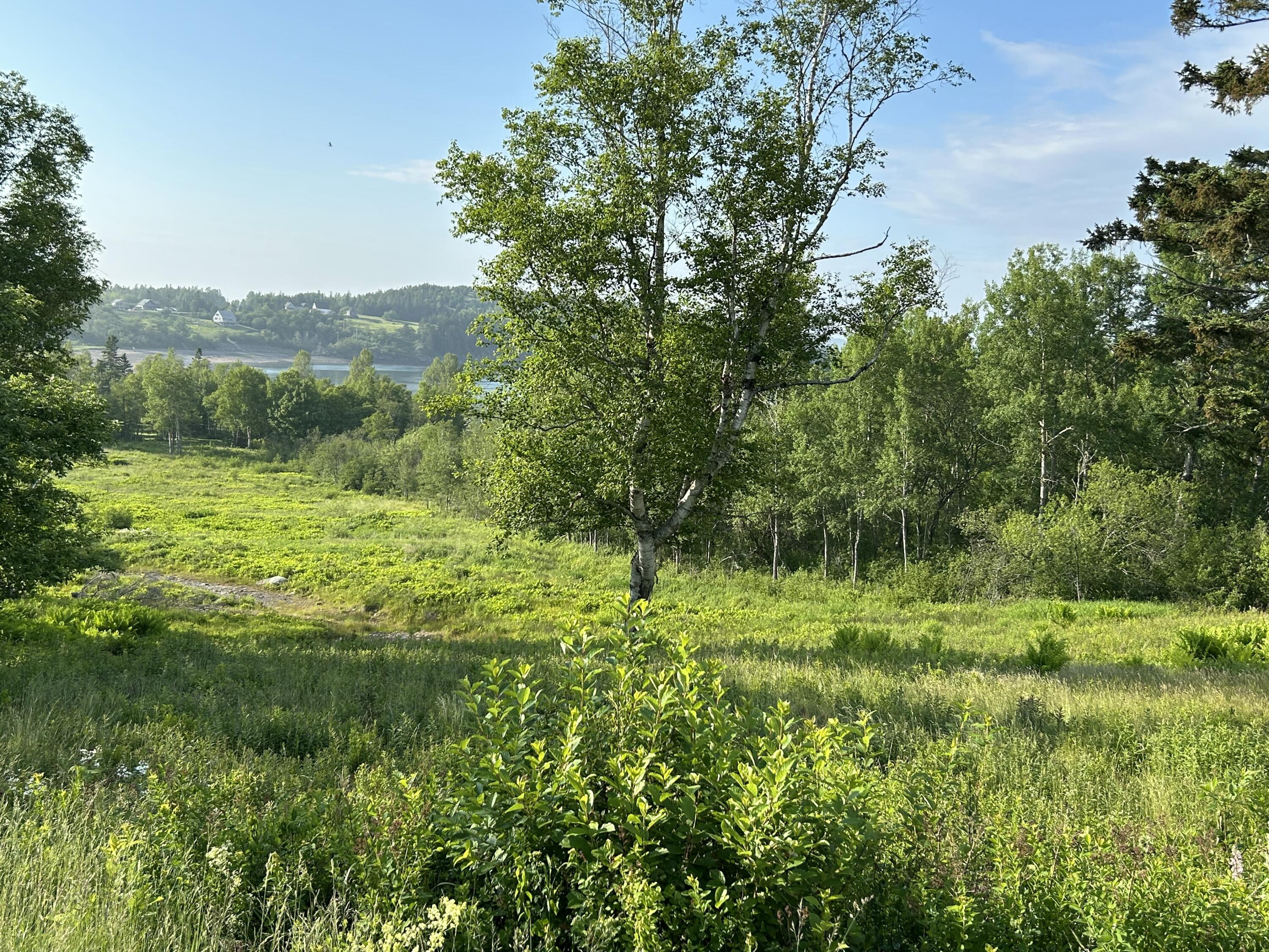27 Redoubt Hill Road Property Photo 5