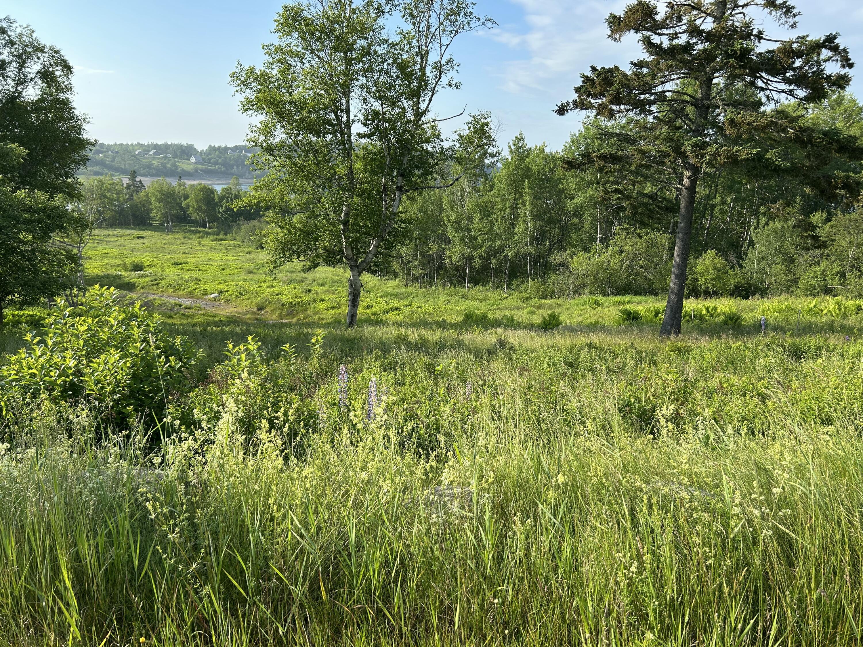 27 Redoubt Hill Road Property Photo 6
