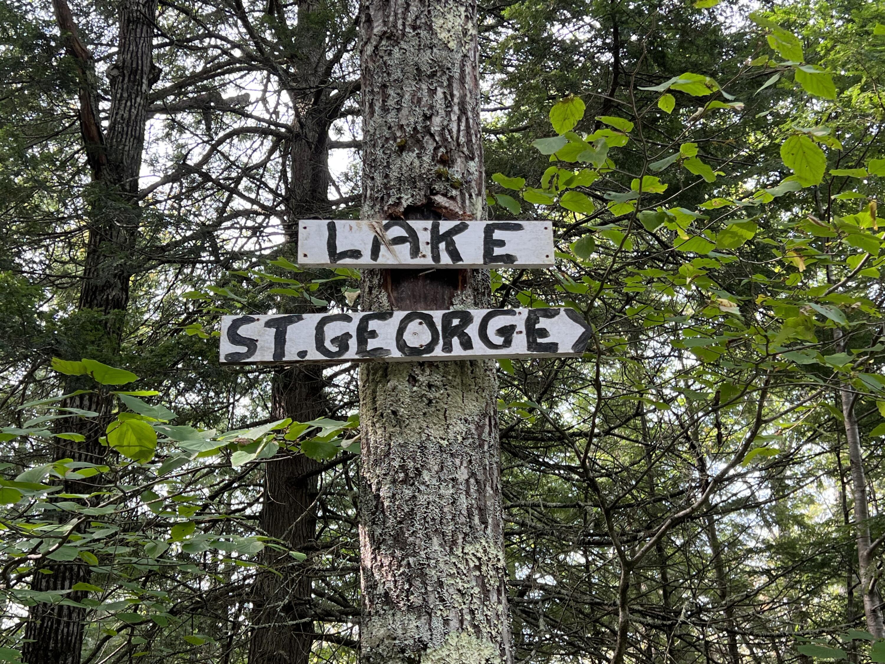 39 Camp Cove Road Property Photo 22