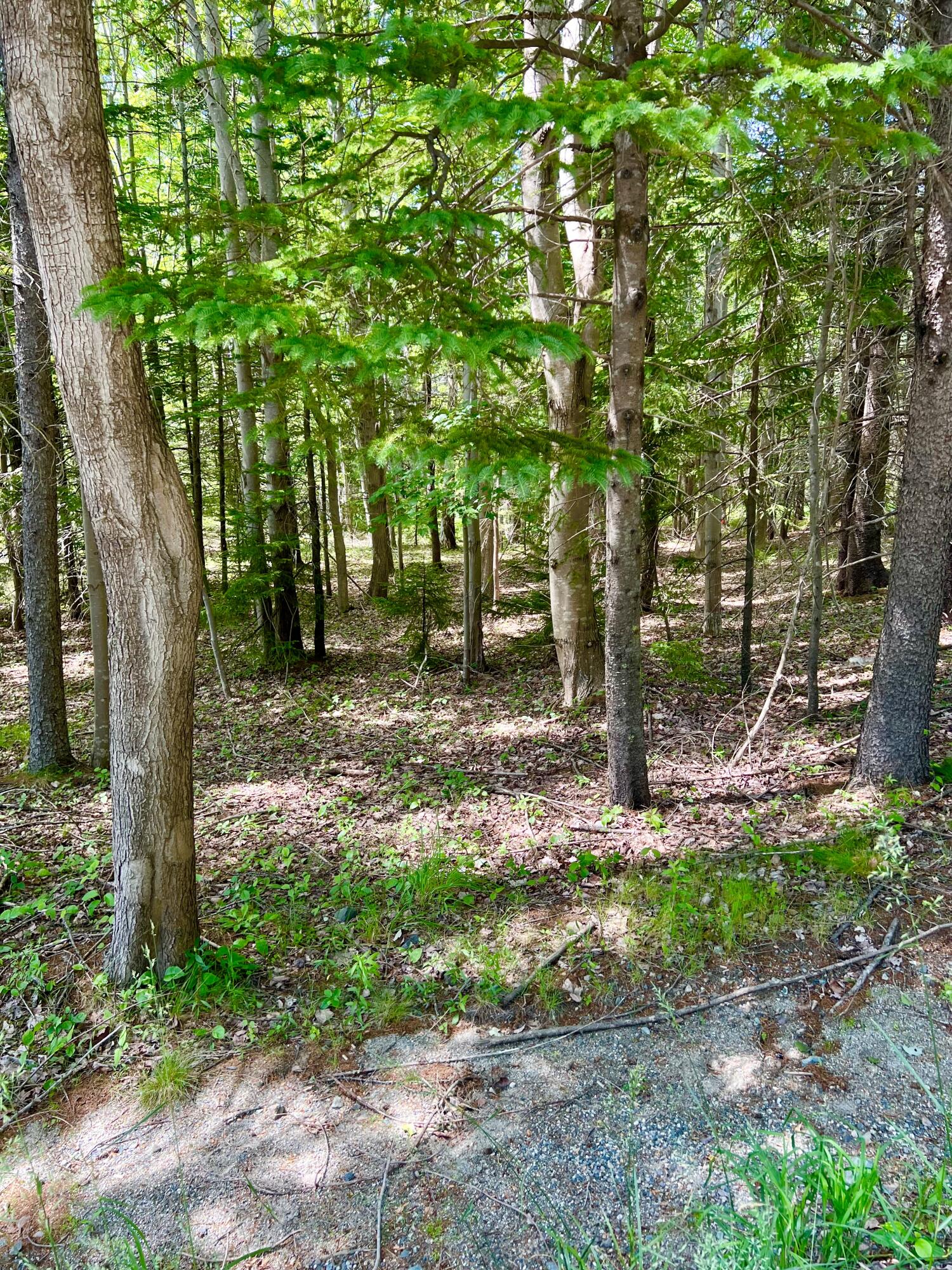142 Seal Cove Road Property Photo 4